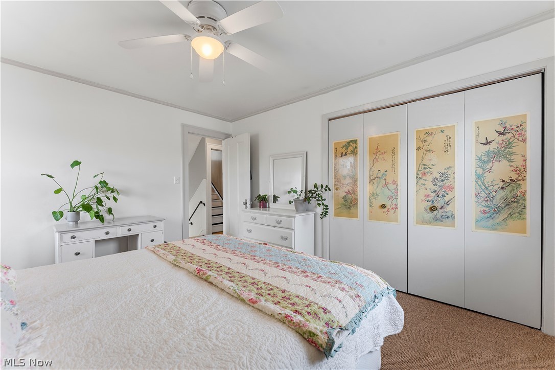 Waterbury Heights 02 - Residential