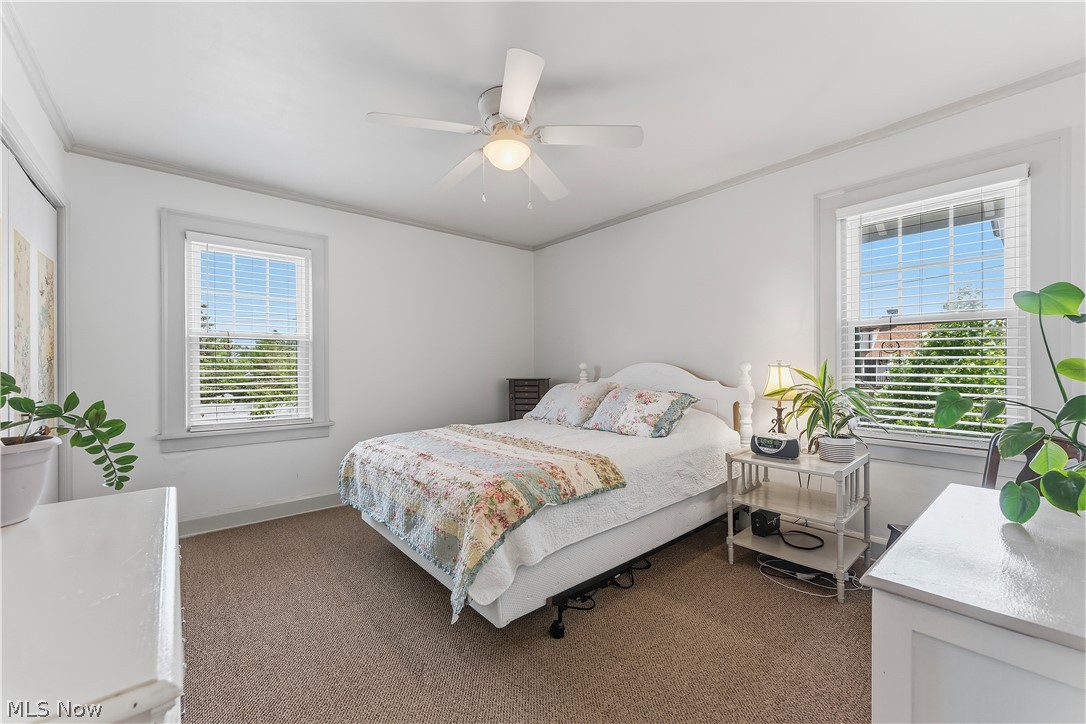 Waterbury Heights 02 - Residential