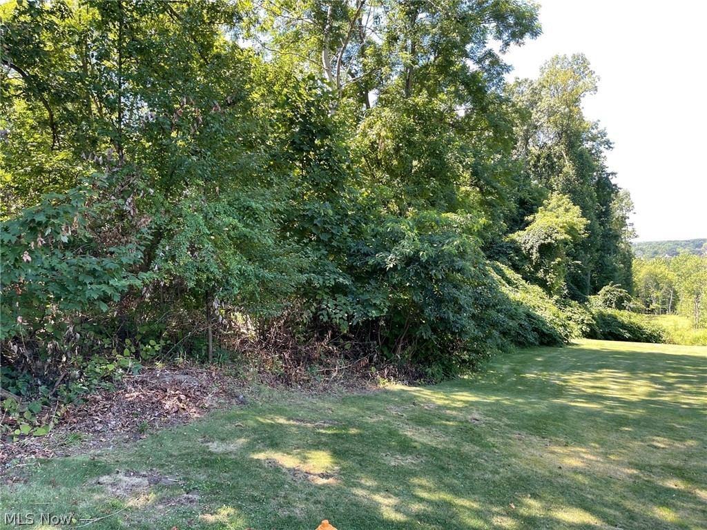 Former Tallmadge Township - Land