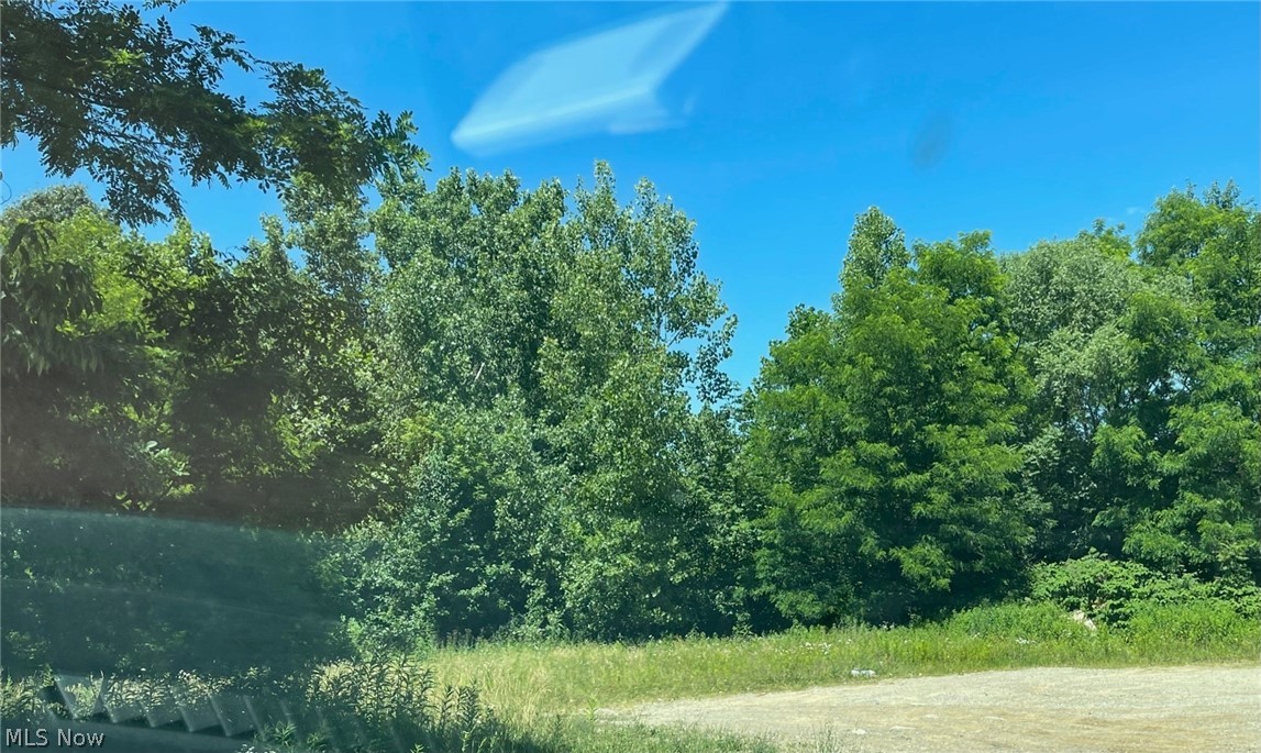 2.36 Acres of Vacant Residential land on Brownstone Avenue in Akron.  There are (3) LOTS; ZONED RESIDENTIAL- SINGLE FAMILY OR MULTI FAMILY.  All public utilities are available at the street. Owner would consider selling the lots individually for the right price and terms.