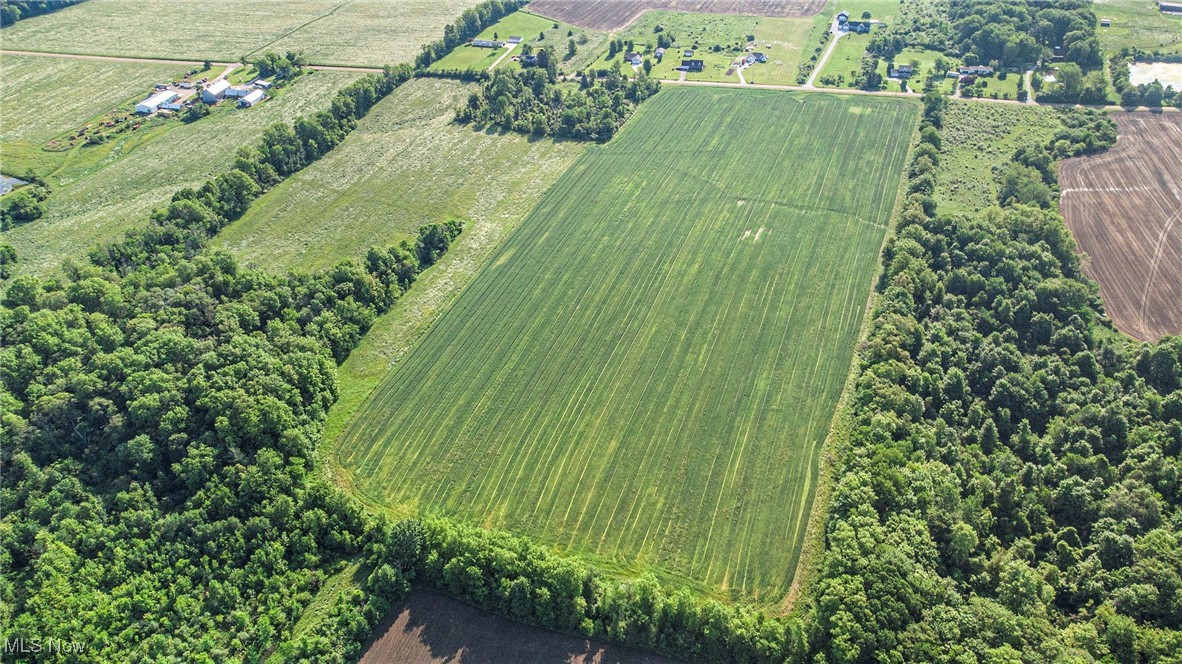Seeking land with endless potential? Look no further than this expansive 30+ acre field! Whether you’re dreaming of planting crops, building your forever home, or doing both, this property checks all the boxes. With wide-open space and limitless possibilities, your vision can truly take root here. Let your imagination soar—come explore what could be your future today!
