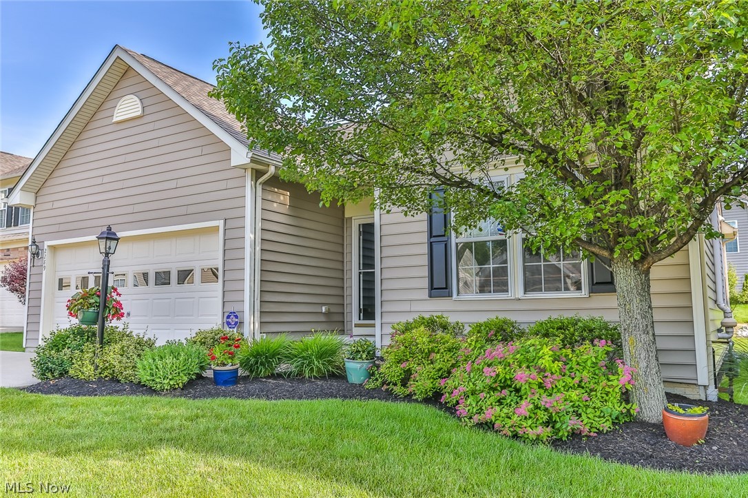 Here is a Spectacular & sought after Ranch home, built in 2006. This cluster/single family home has a monthly association fee that covers yard work & snow shoveling. How could it get any better? It has 9 foot ceilings on 1st floor and vaulted ceilings in great area (Living & dining rooms & kitchen) There is a dramatic gas log fireplace in living room and sliders that walk out to a newer wood deck (2016). There are 3 full baths.  The "on suite" master has a soaking tub/shower combination. The kitchen features all stainless appliances that stay & there is a custom pull out rack for pot & pan organization plus a nice lazy susan cabinet. The countertops are granite (2018) with under mount sink. All carpeting on first floor was replaced this year (5/19) along with much of the interior painting in fashion neutral colors. The lower level is awesome and has a large family room with bar area & the bar appliances will stay. There is a full bath on lower level and a huge bedroom that owners use f