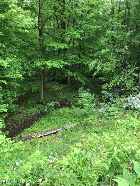 This is a beautiful piece of land – 5.067 acres. It is wooded with mature trees and there is also a seasonal dry creek that crosses the property diagonally. Lot dimensions are 385' x 542'. Front left corner facing the lot is level - approximately 1/2 to 1/3 acre -  as is the back right corner.