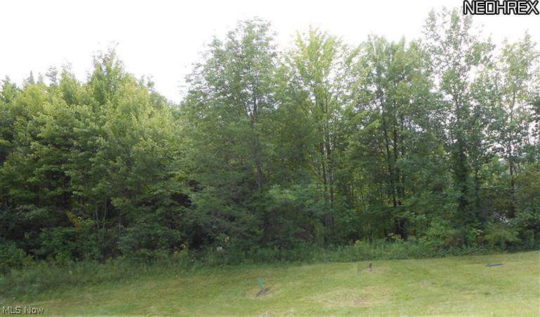 Improved lot in beautiful Crown Pointe Estates.  Sensational countryside surroundings, great for nature lovers.  Picturesque views yet close to major thorough fares, schools, churches, shopping, recreational, theatrical and musical facilities (Sarah's Vineyard, Weathervane Community Playhouse, Blossom Music Center).  Premier location just waiting for your dream home.