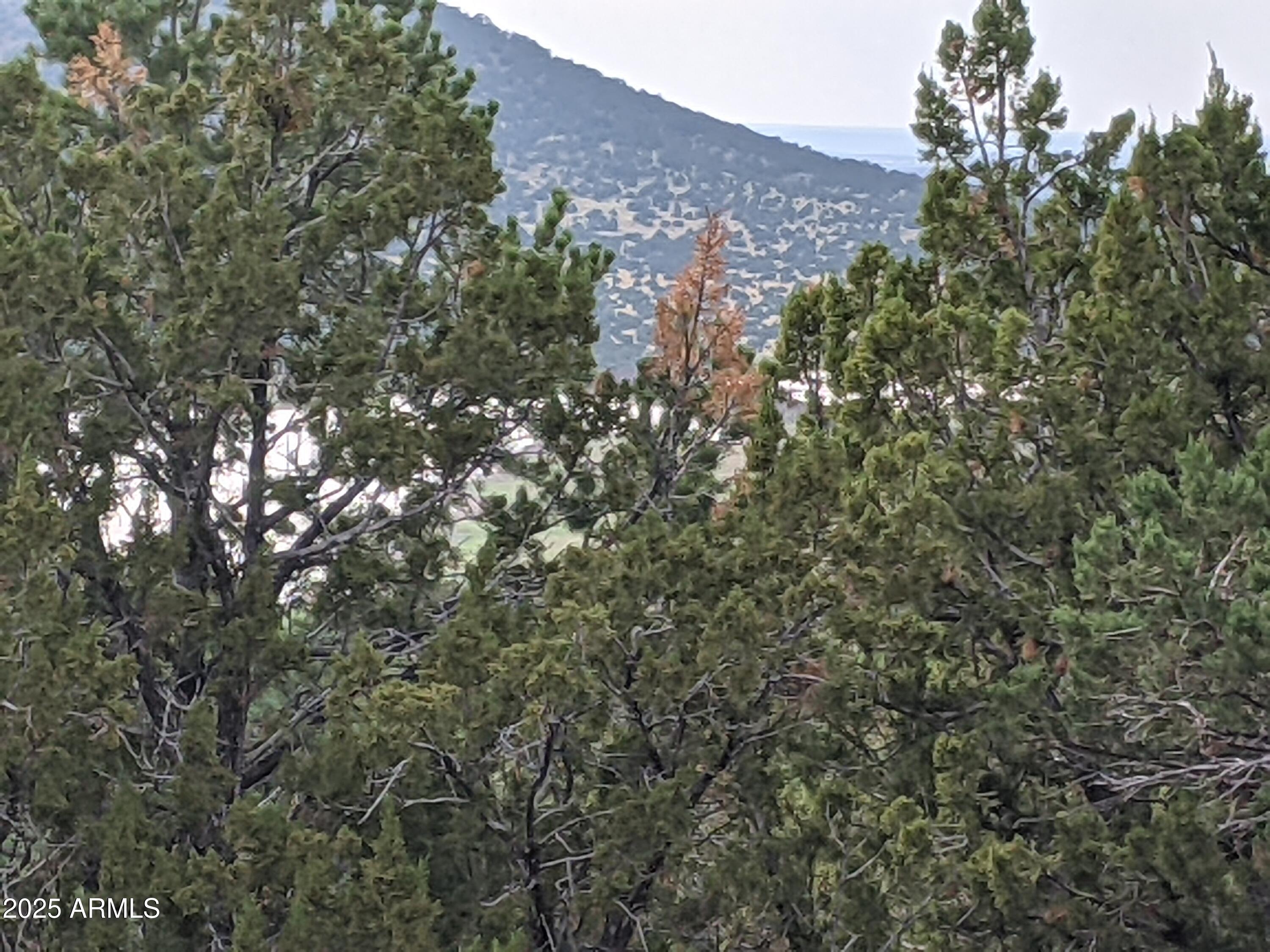 MOUNTAIN PINE RANCH UNIT 2 - Land