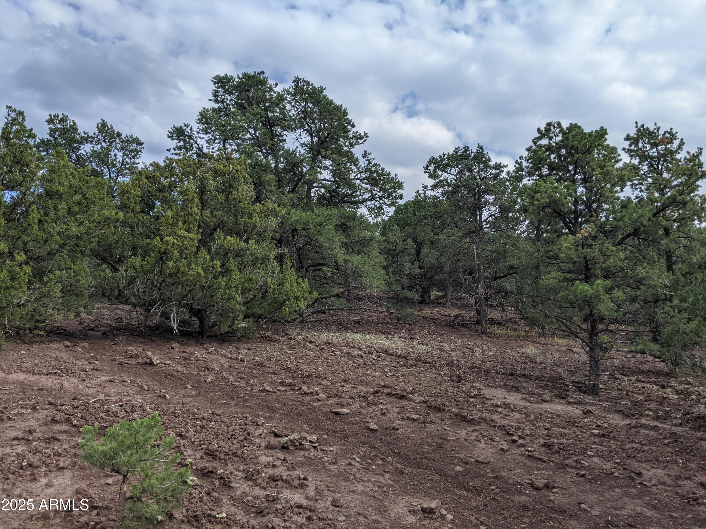 MOUNTAIN PINE RANCH UNIT 2 - Land