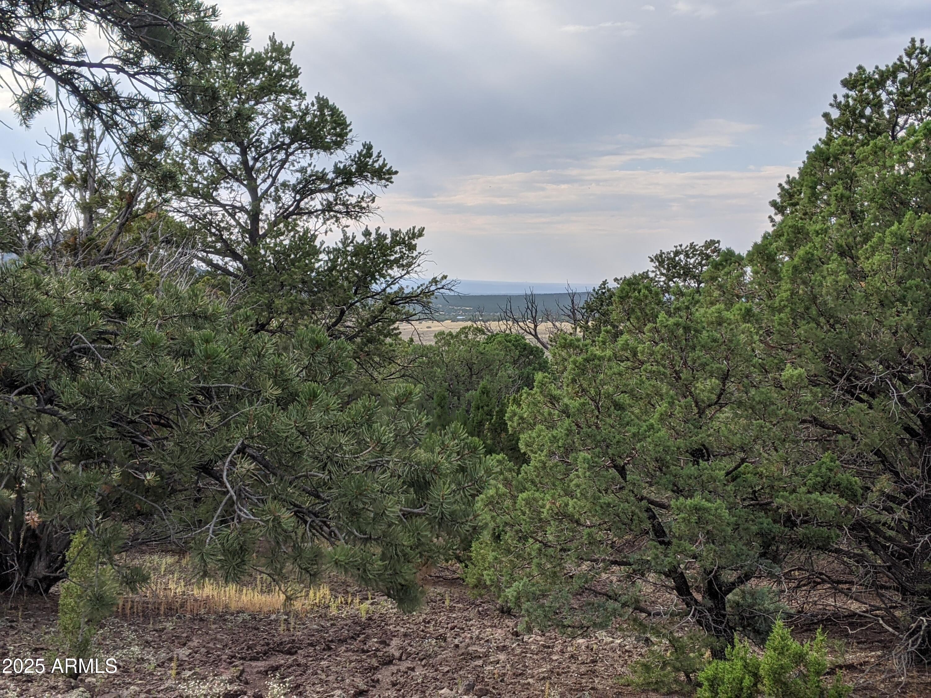 MOUNTAIN PINE RANCH UNIT 2 - Land