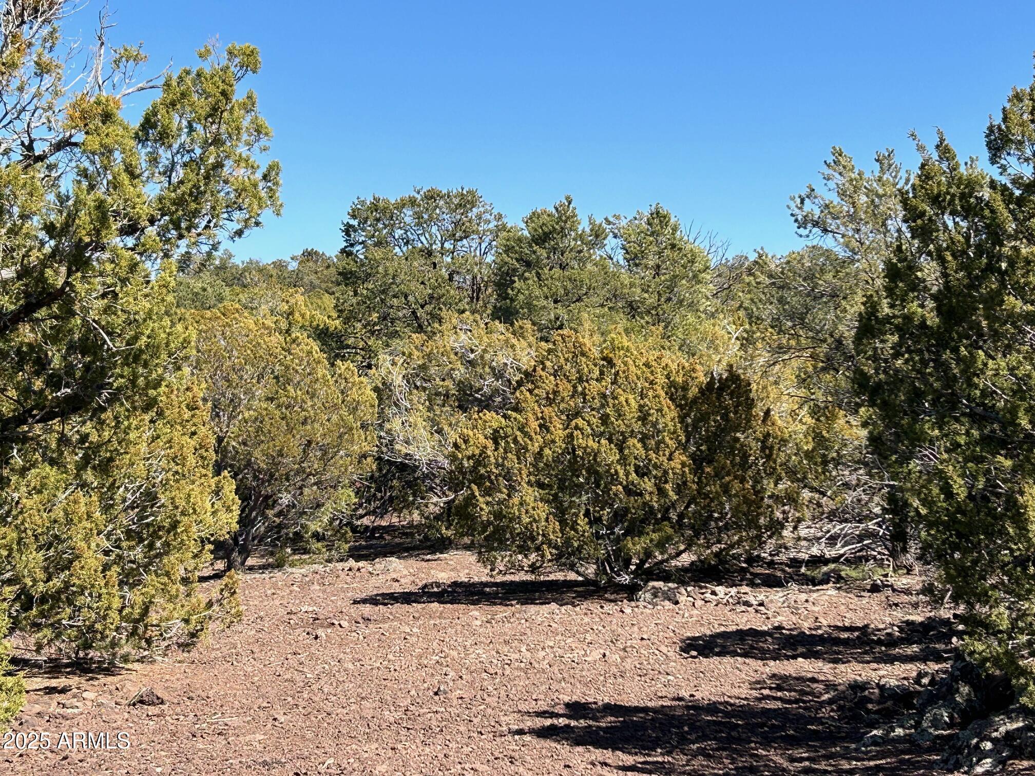 MOUNTAIN PINE RANCH UNIT 2 - Land