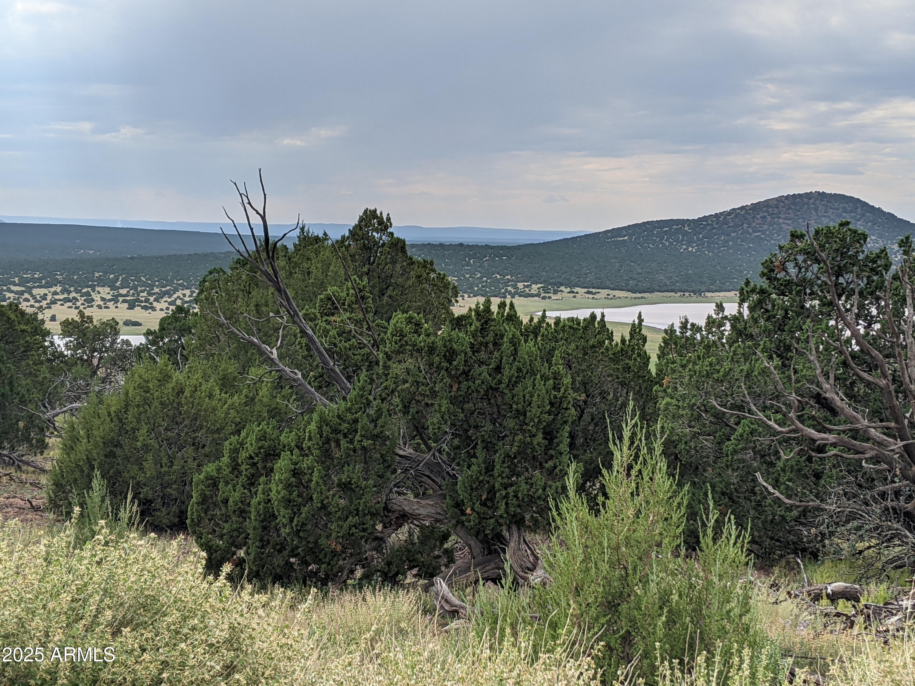 MOUNTAIN PINE RANCH UNIT 2 - Land