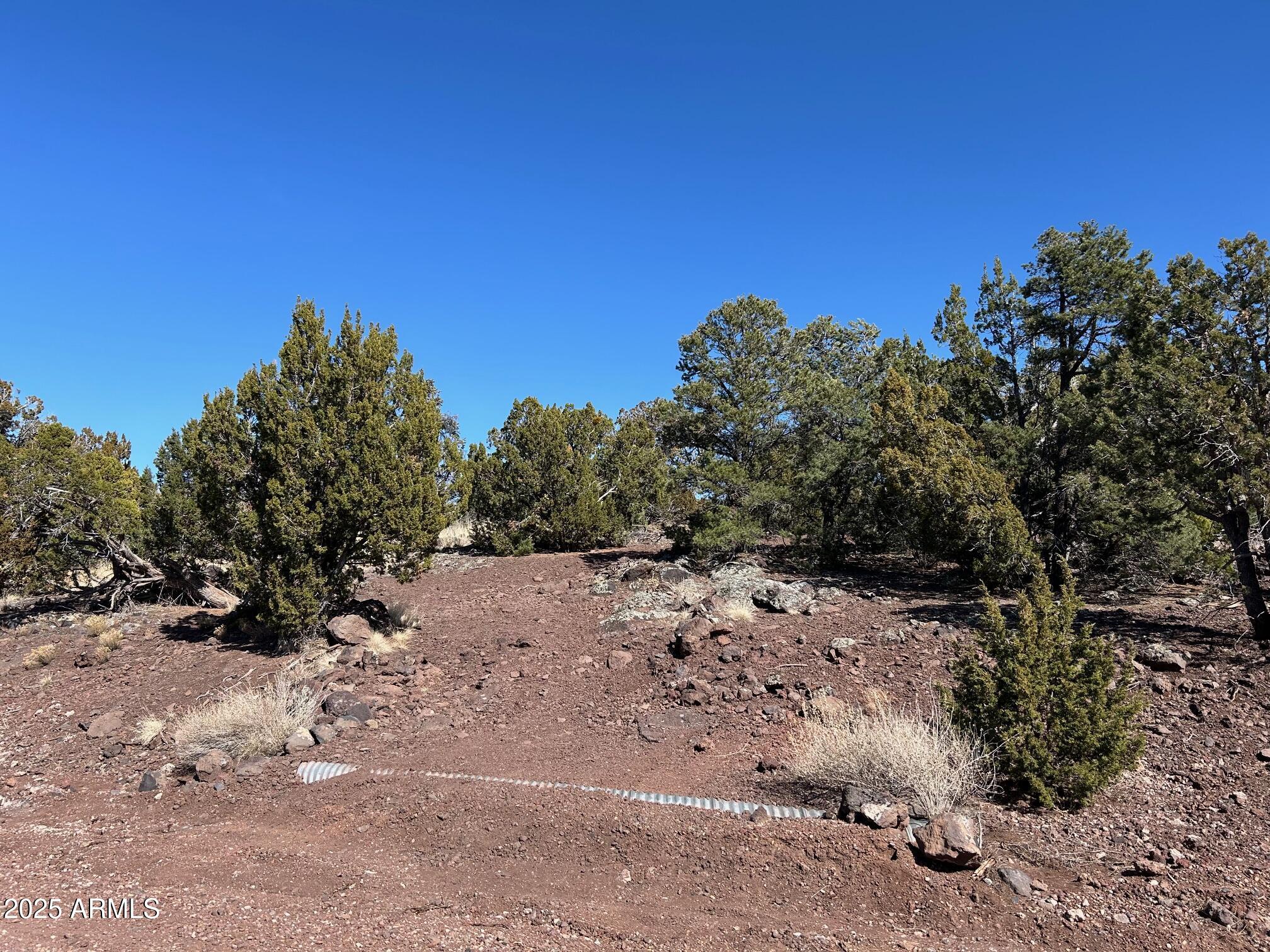 MOUNTAIN PINE RANCH UNIT 2 - Land