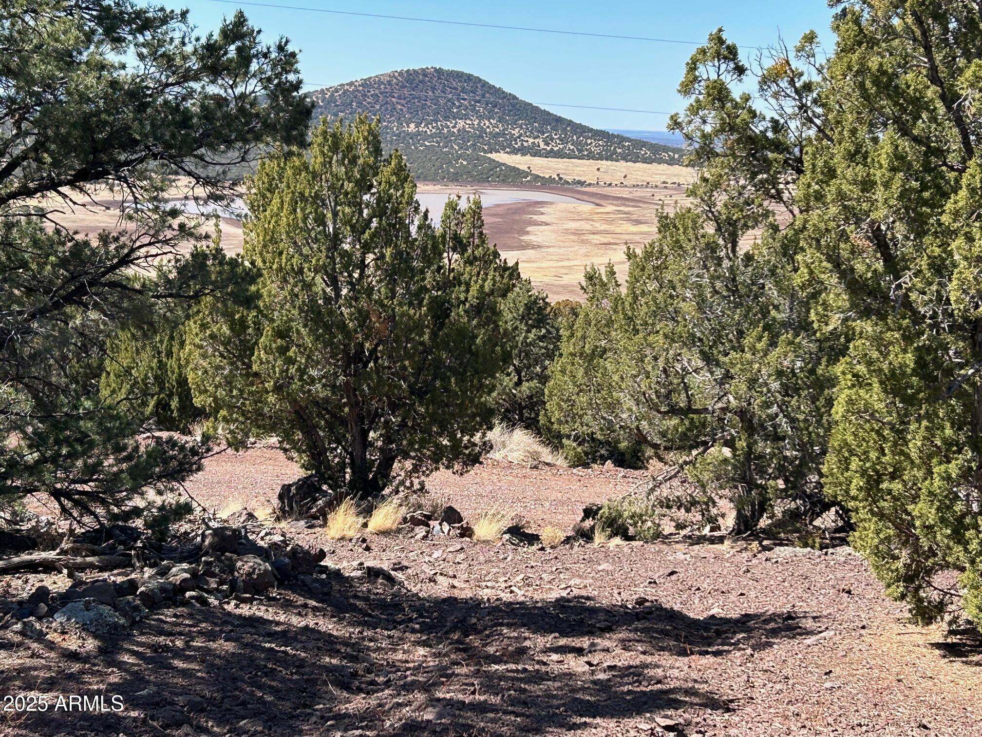 MOUNTAIN PINE RANCH UNIT 2 - Land