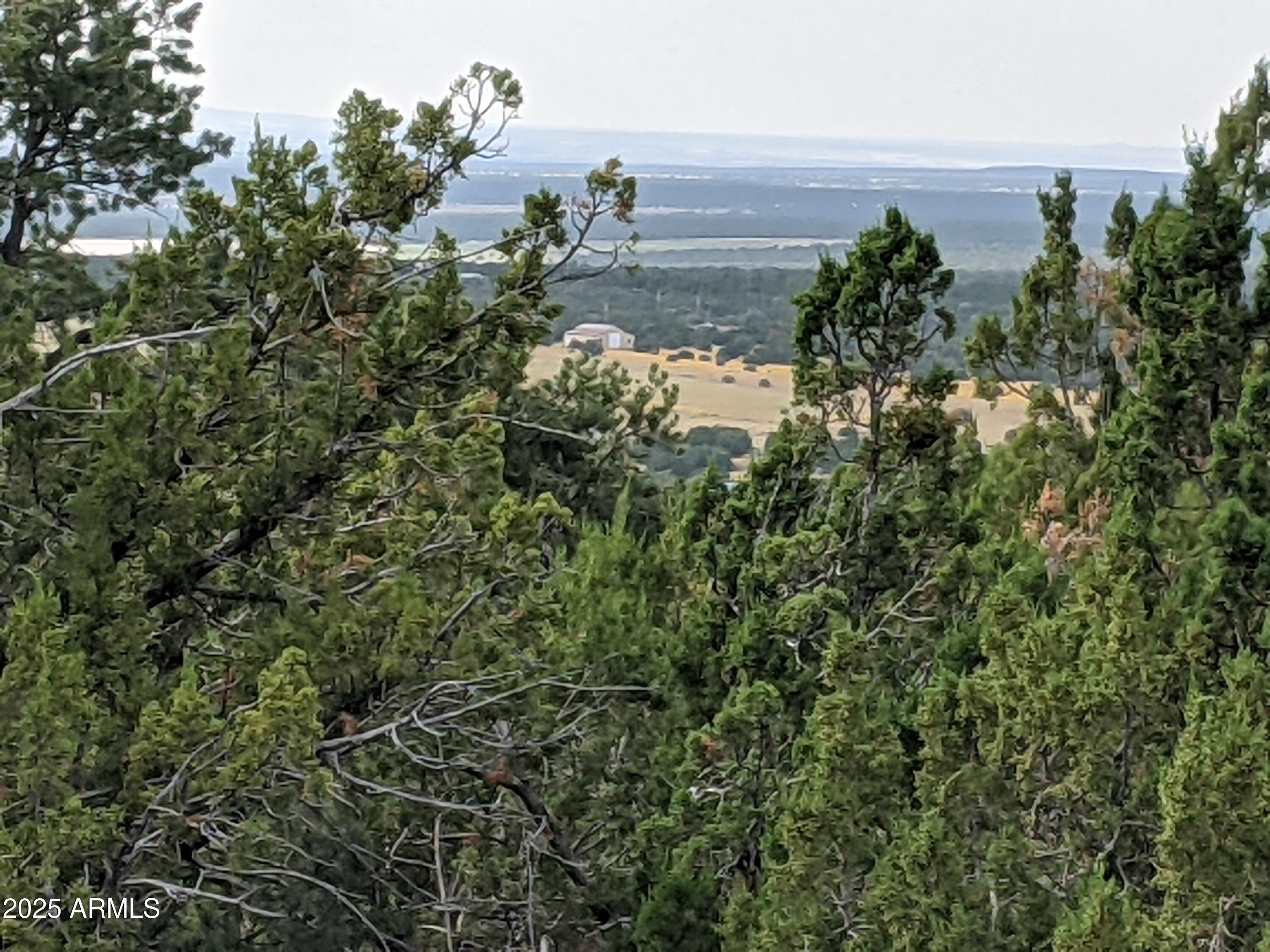 MOUNTAIN PINE RANCH UNIT 2 - Land
