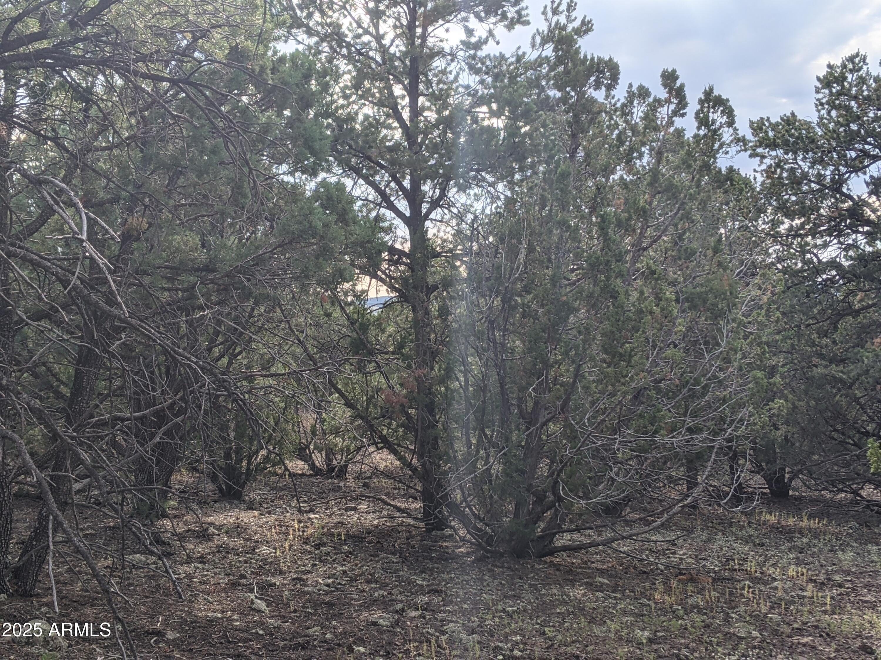 MOUNTAIN PINE RANCH UNIT 2 - Land