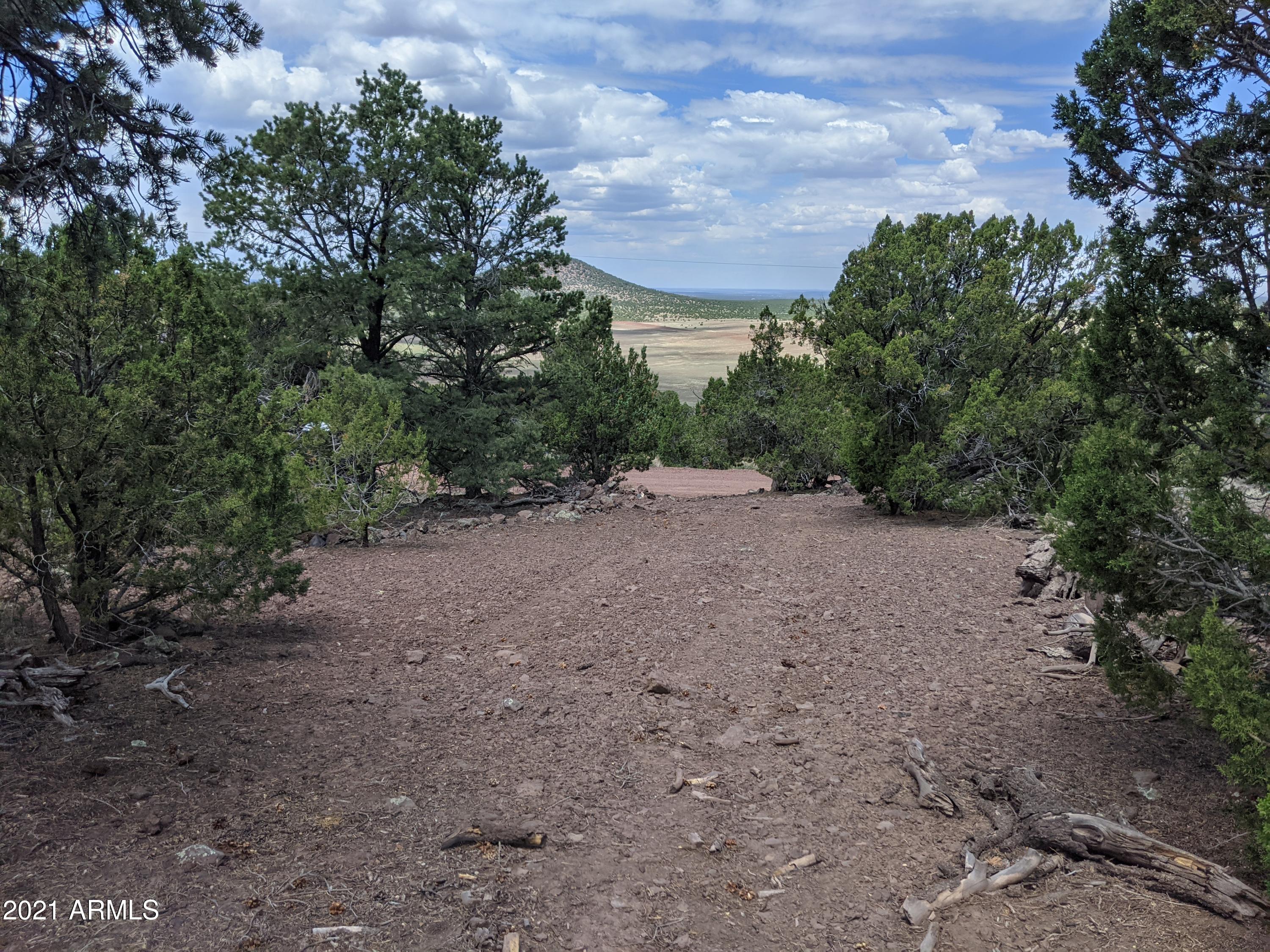 MOUNTAIN PINE RANCH UNIT 2 - Land