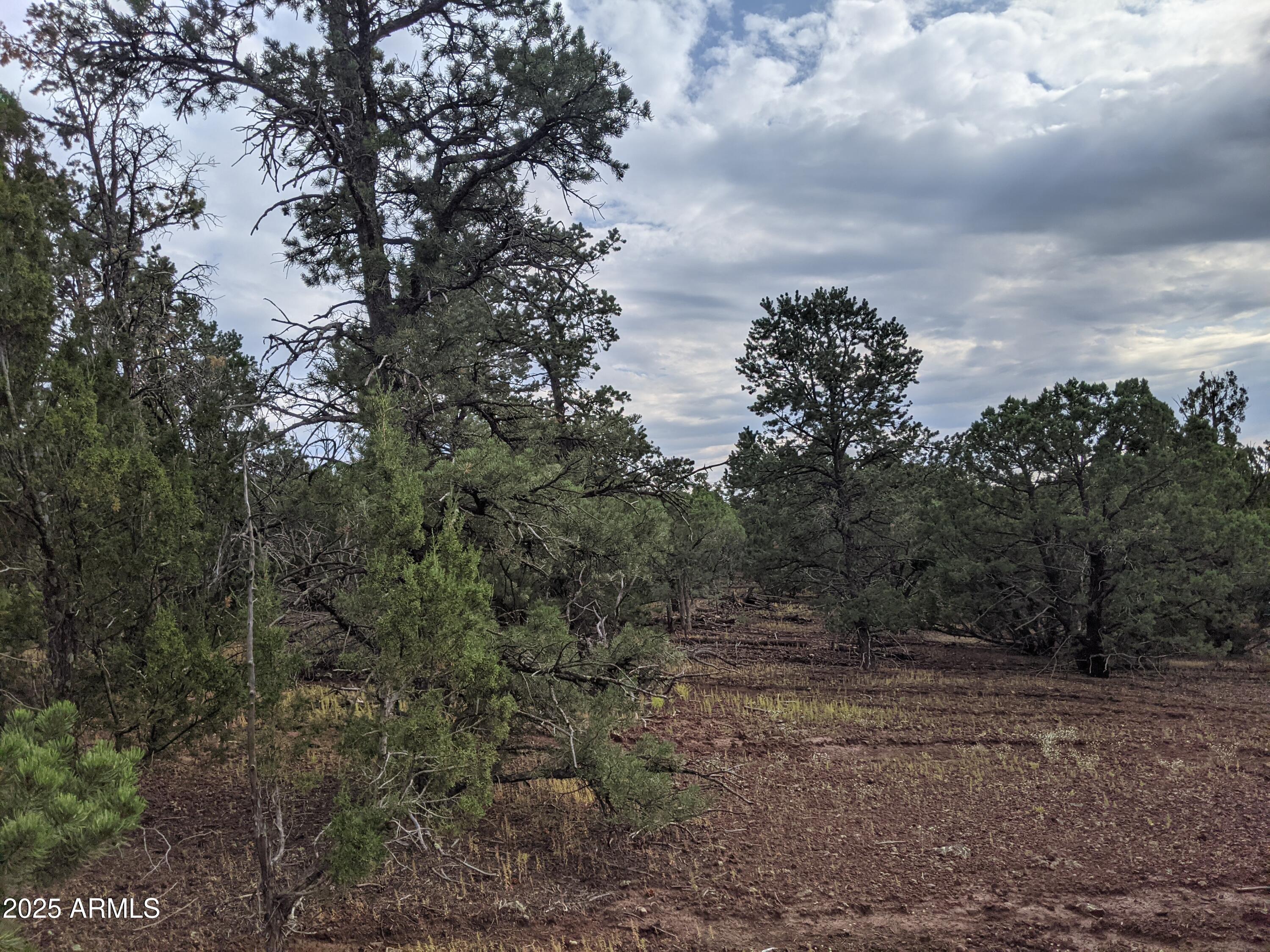 MOUNTAIN PINE RANCH UNIT 2 - Land