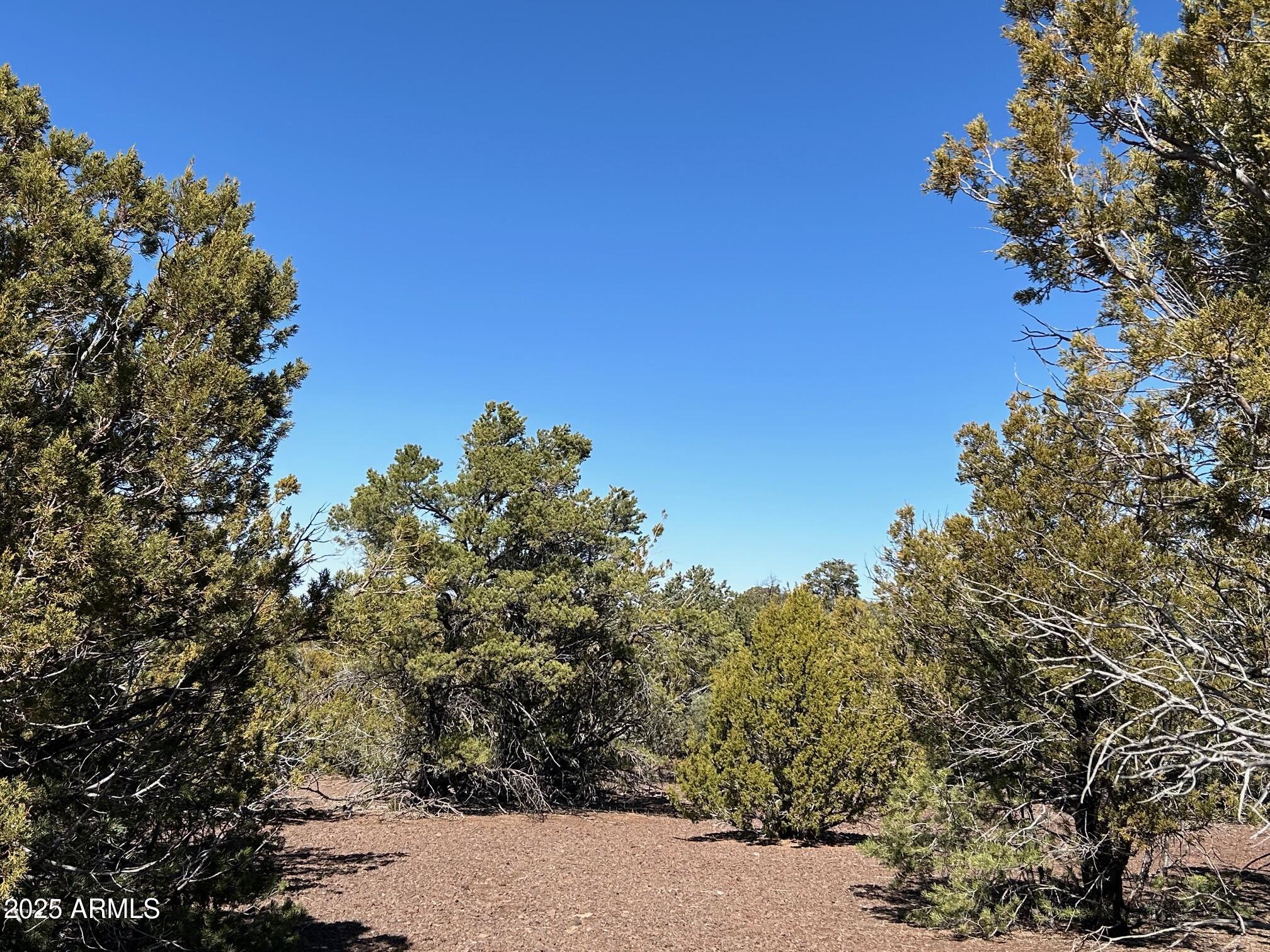 MOUNTAIN PINE RANCH UNIT 2 - Land