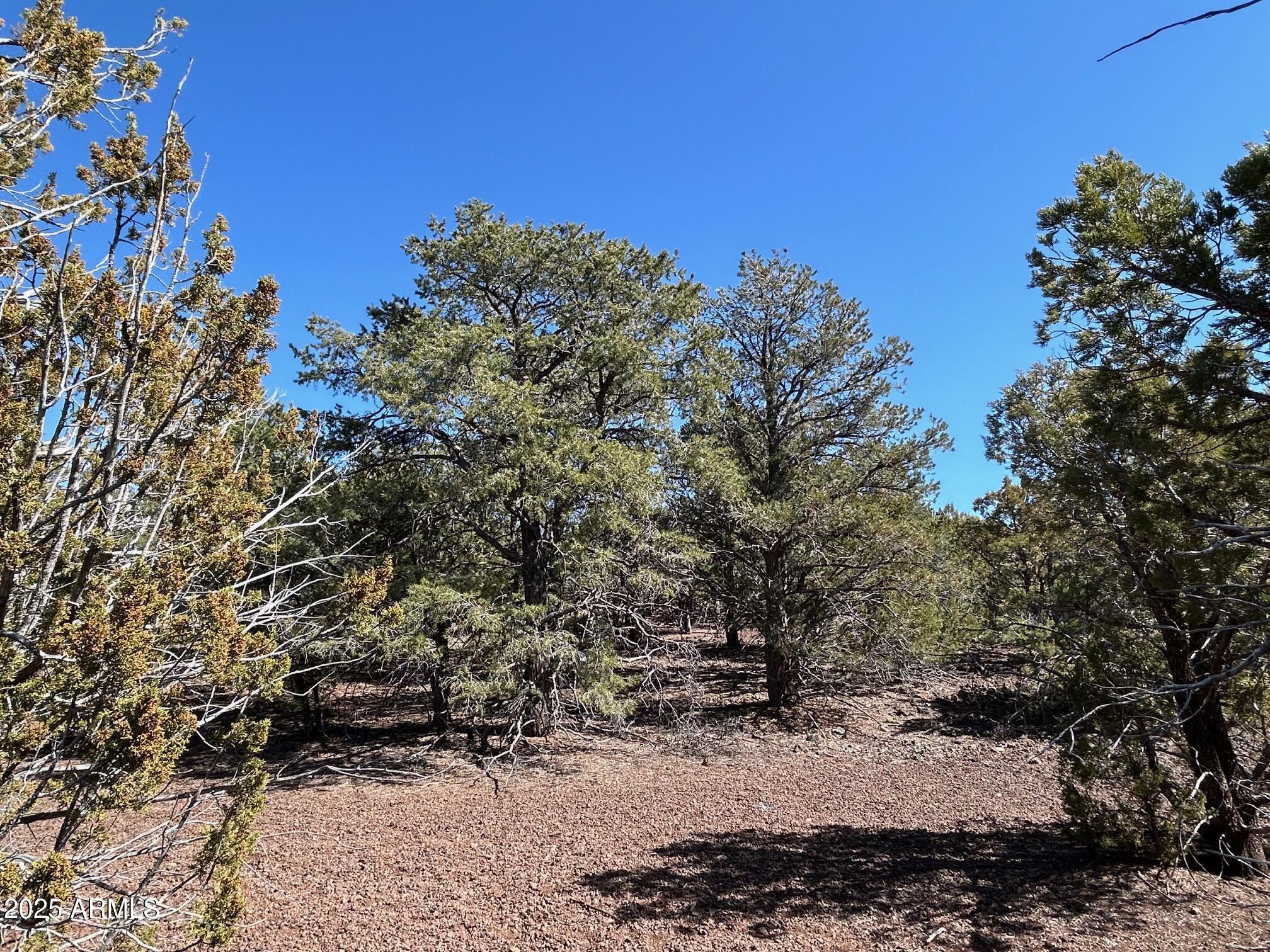 MOUNTAIN PINE RANCH UNIT 2 - Land