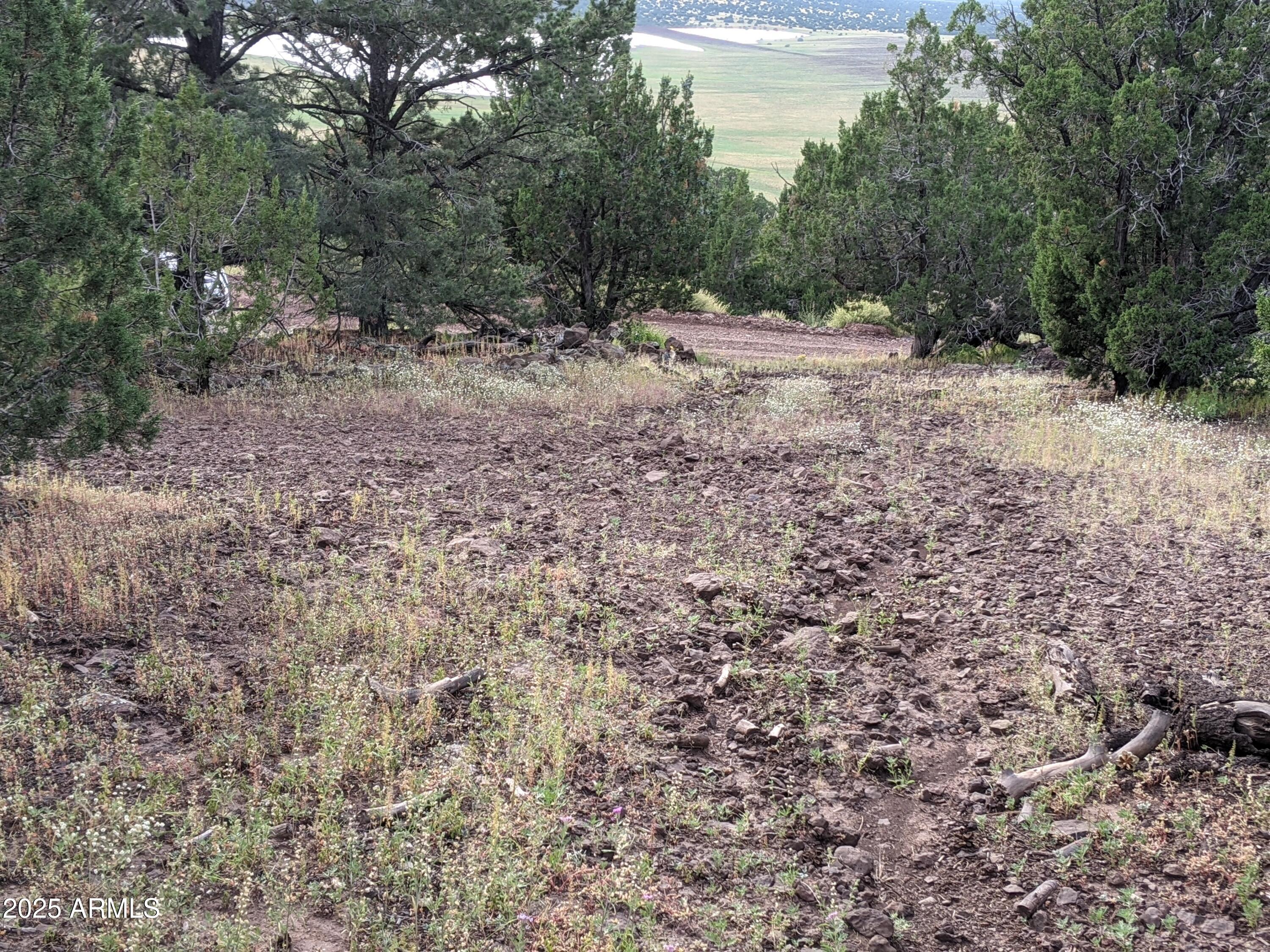 MOUNTAIN PINE RANCH UNIT 2 - Land