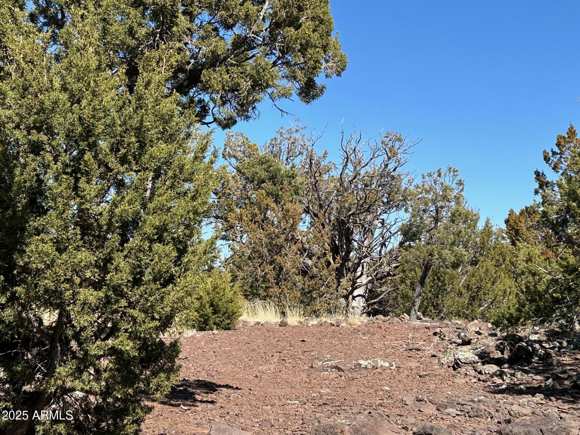 MOUNTAIN PINE RANCH UNIT 2 - Land