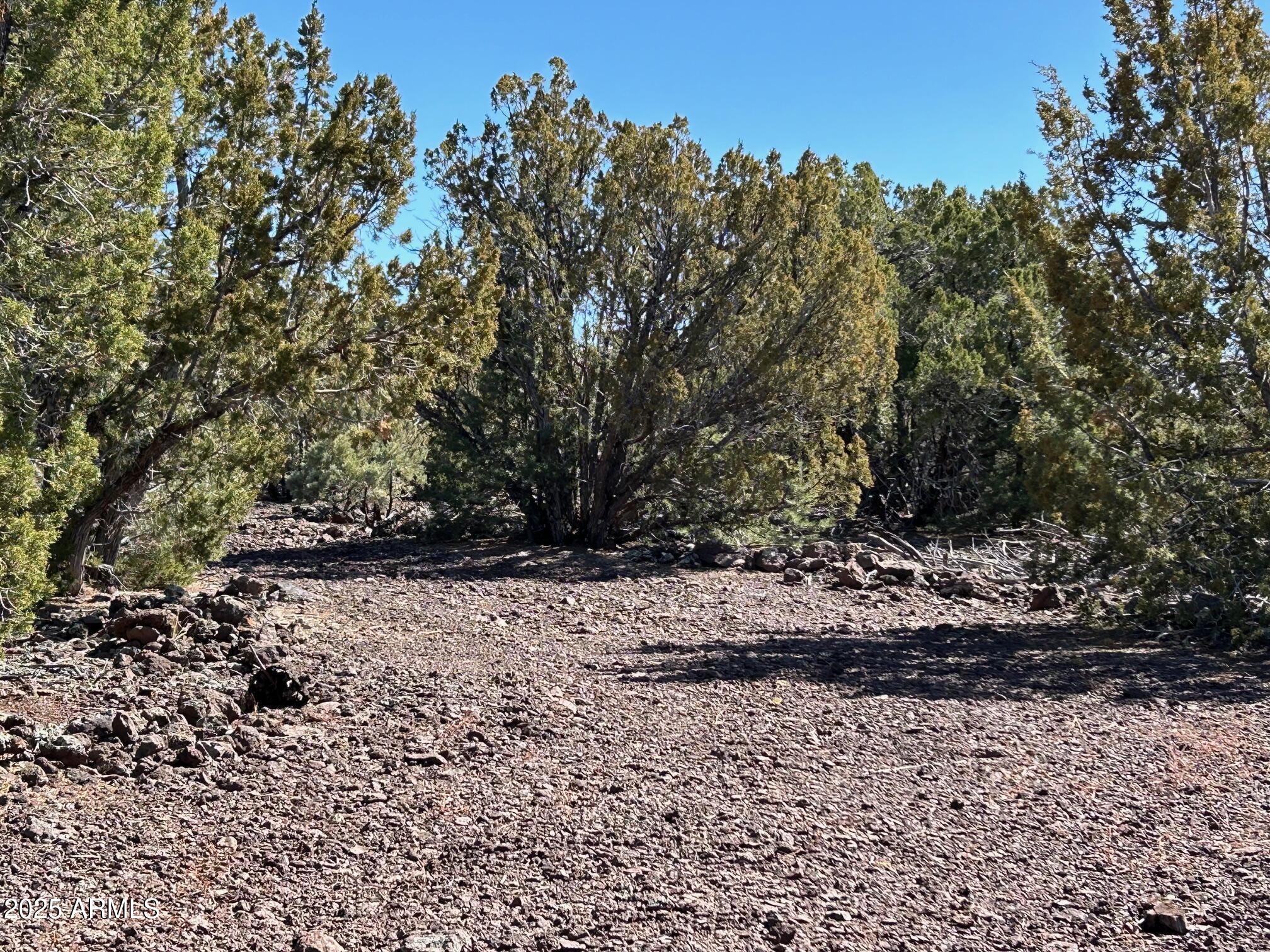 MOUNTAIN PINE RANCH UNIT 2 - Land