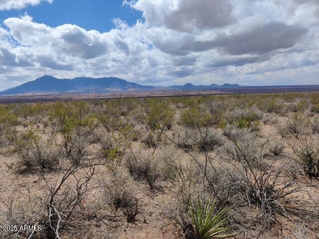 LOOKING FOR PEACE AND QUIET? Welcome home to this extraordinary property with 37+ acres of breathtaking 360 views of multiple majestic mountains. You can build your dream home, workshop and your garden, all while watching the sunrise and sunsets in our beautiful Arizona skies and not to far from Bisbee, Sierra Vista and Tombstone. It's also, zoned RU-4 land, which has the potential to be subdivided. This land welcomes livestock and horses, manufactured homes, site built homes and no HOA and ready for you to start your adventure.