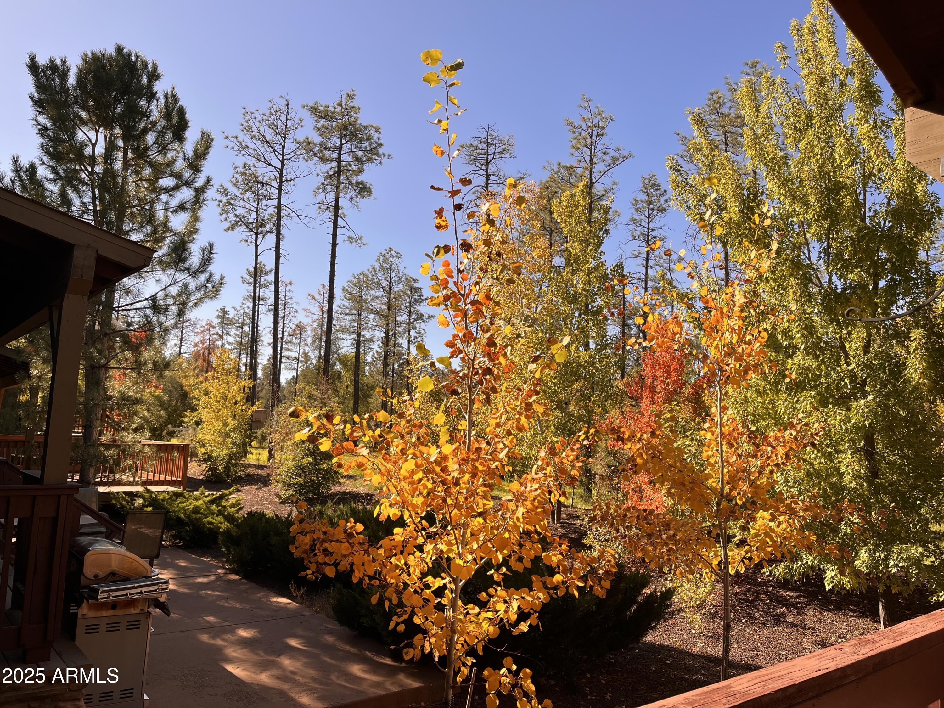 MOUNTAIN GATE HOMES 3RD AMD - Residential