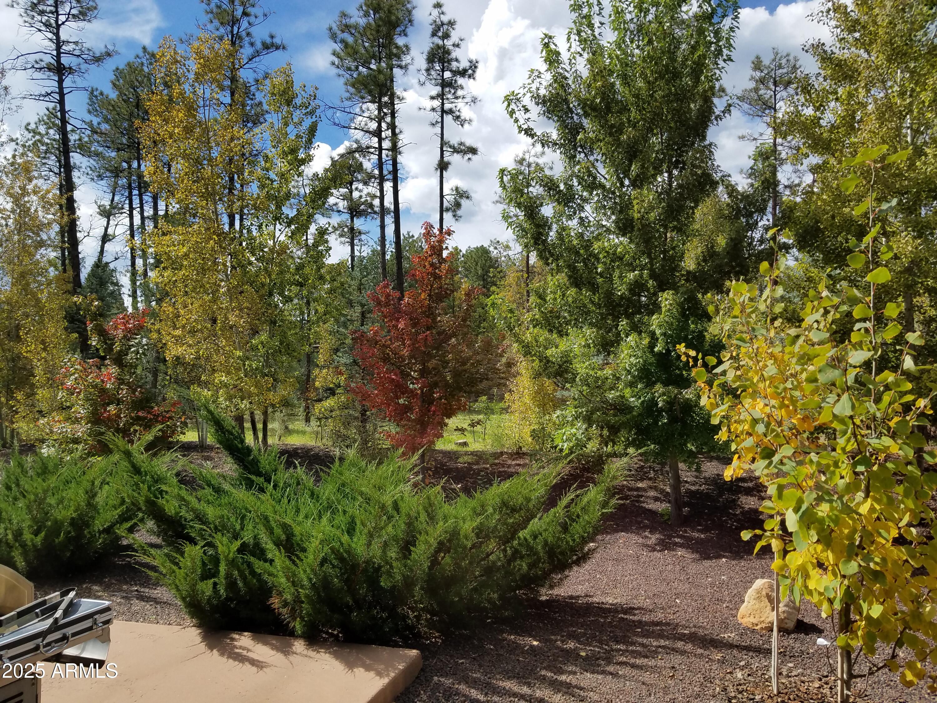 MOUNTAIN GATE HOMES 3RD AMD - Residential