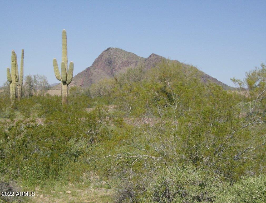 Seller Financing Available! Make an offer! Lot 56 in West Valley Ranches bordering the BLM land and CAP. Your own secluded parcel of land with saguaros and panoramic views of the Belmont Mountains to the north.  No HOA, associations or governing boards, only Maricopa County zoning regulations. This area has great access to the 31,200-acre Hummingbird Springs Wilderness known for Saguaros, chollas, ocotillos, paloverdes and mesquite. Most of the wilderness is habitat for desert bighorn sheep, mule deer and desert tortoise.