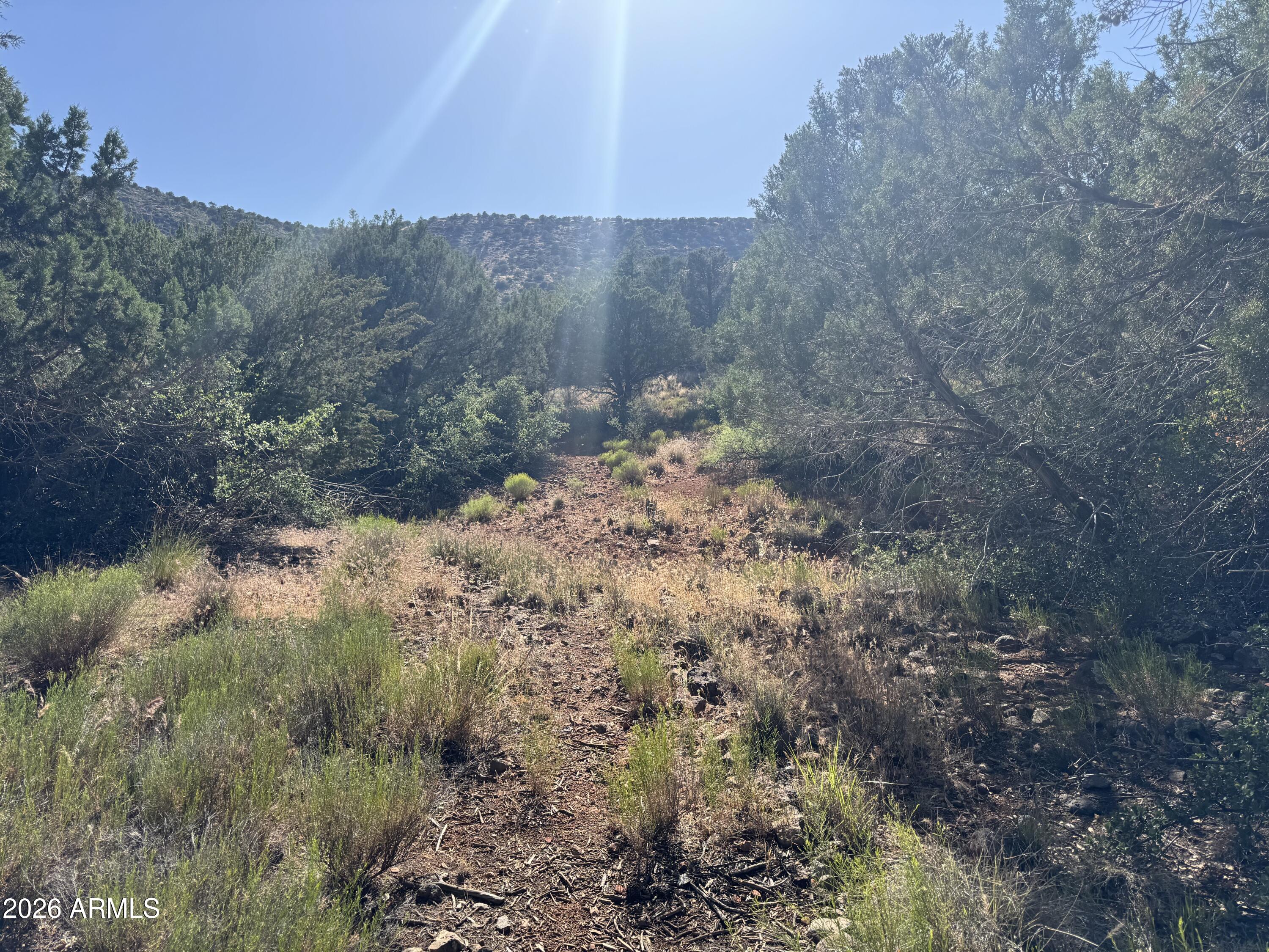 Sun Up Ranch - Land