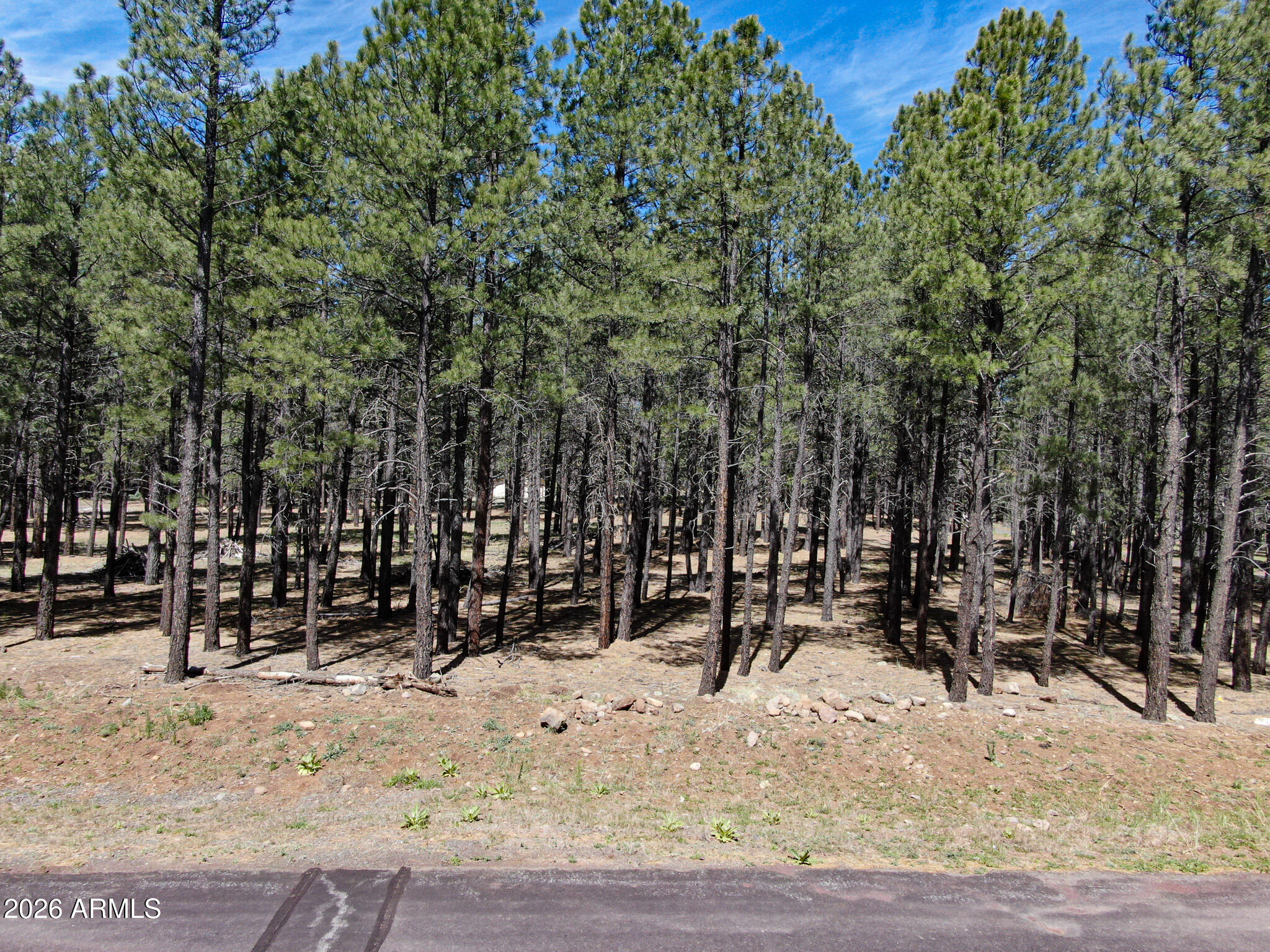 RANCH AT THE PEAKS PHASE 3 - Land