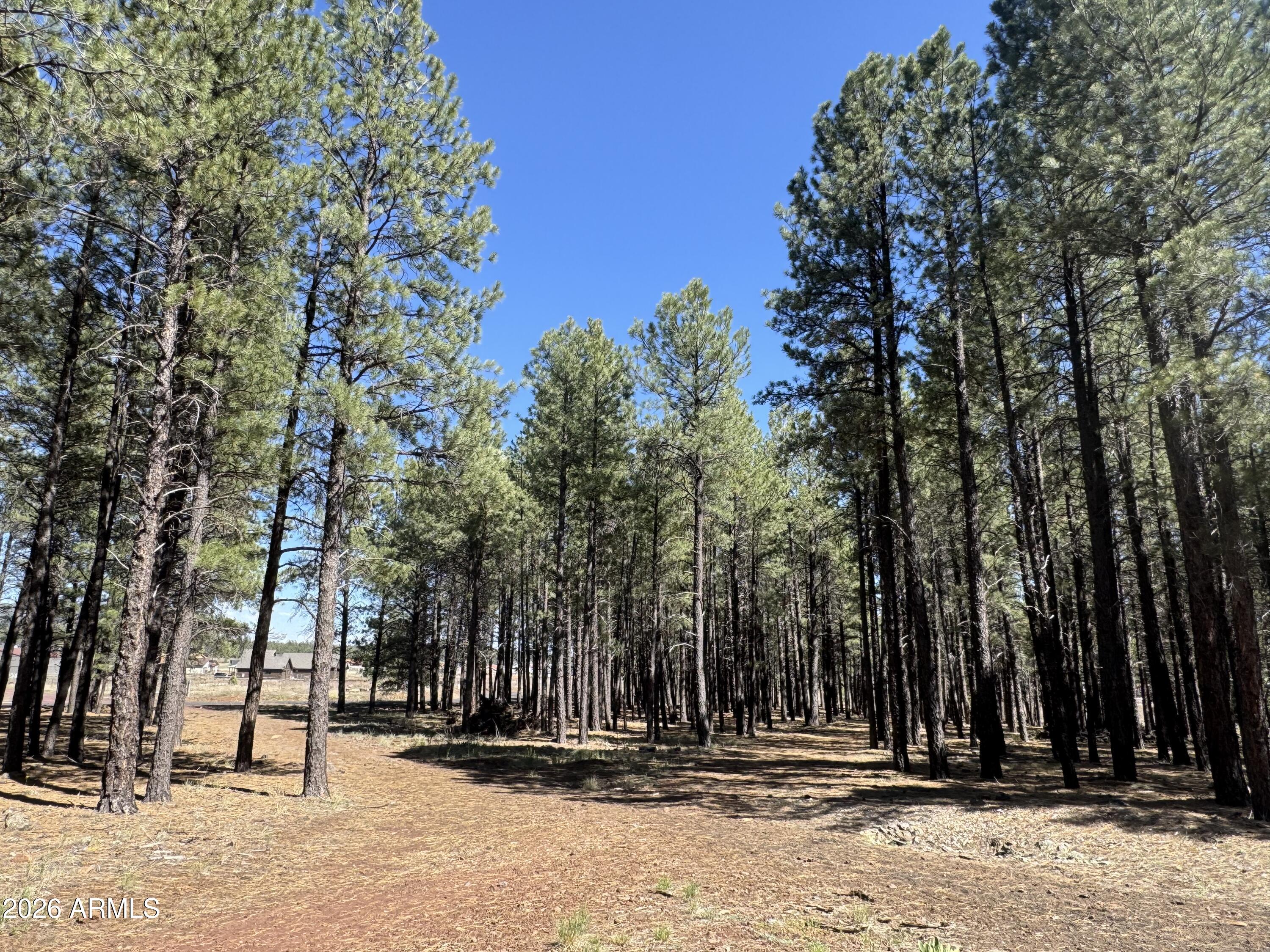 RANCH AT THE PEAKS PHASE 3 - Land