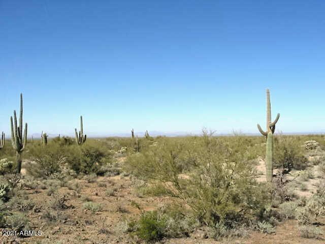 Bar E Bar Ranch - Land