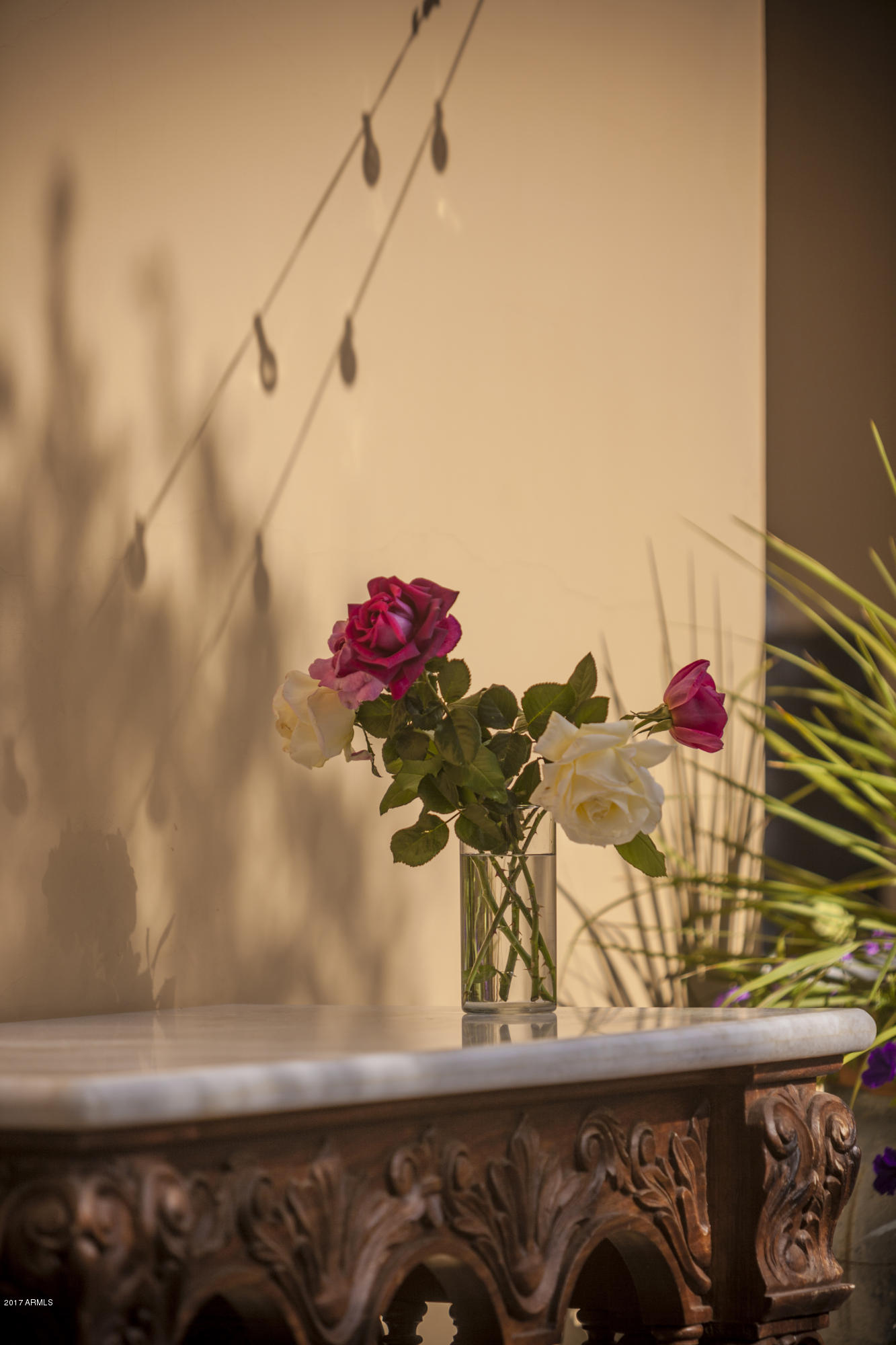 Ivy Court - Residential