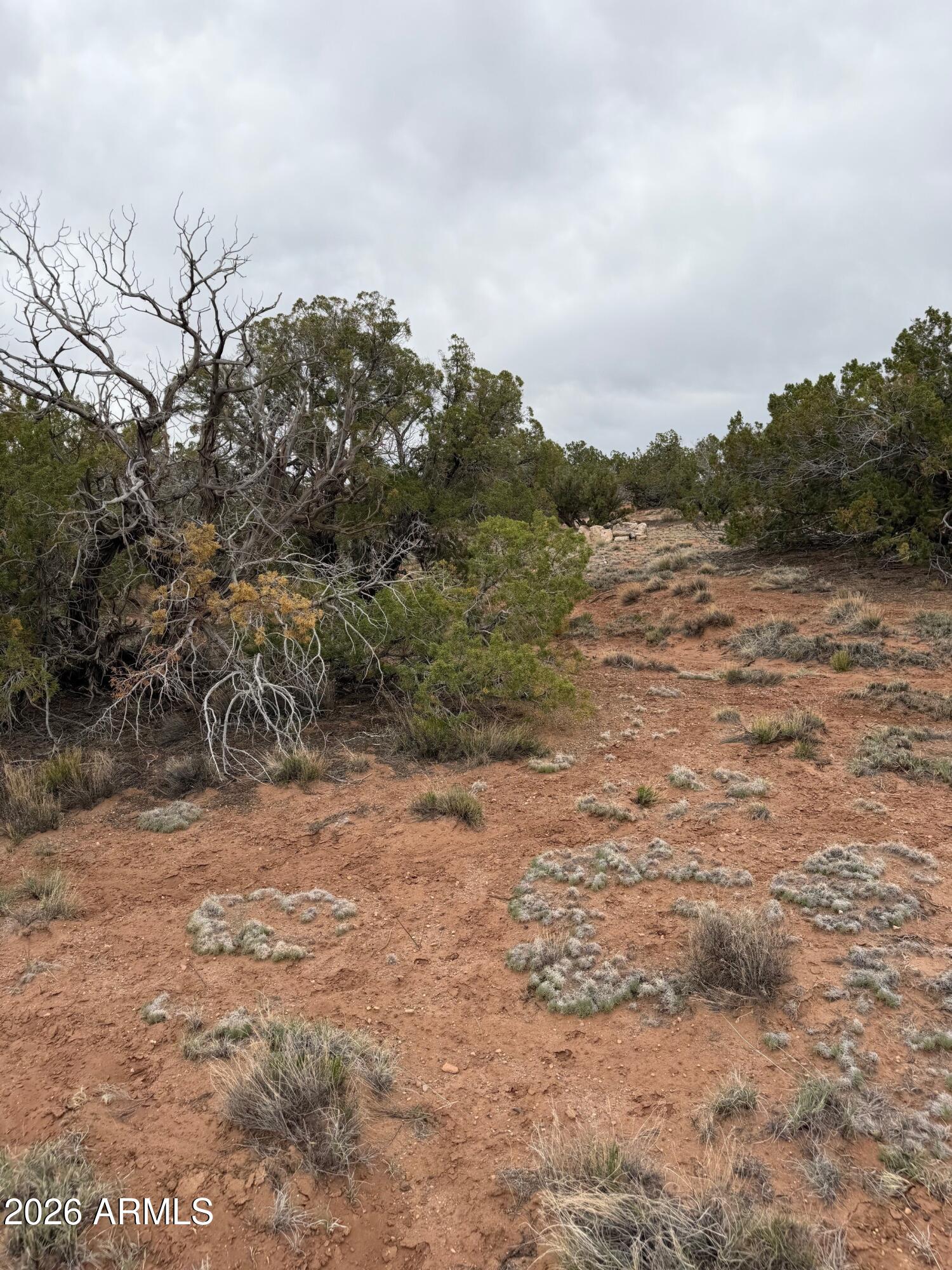 Cedar Ridge Estates - Land