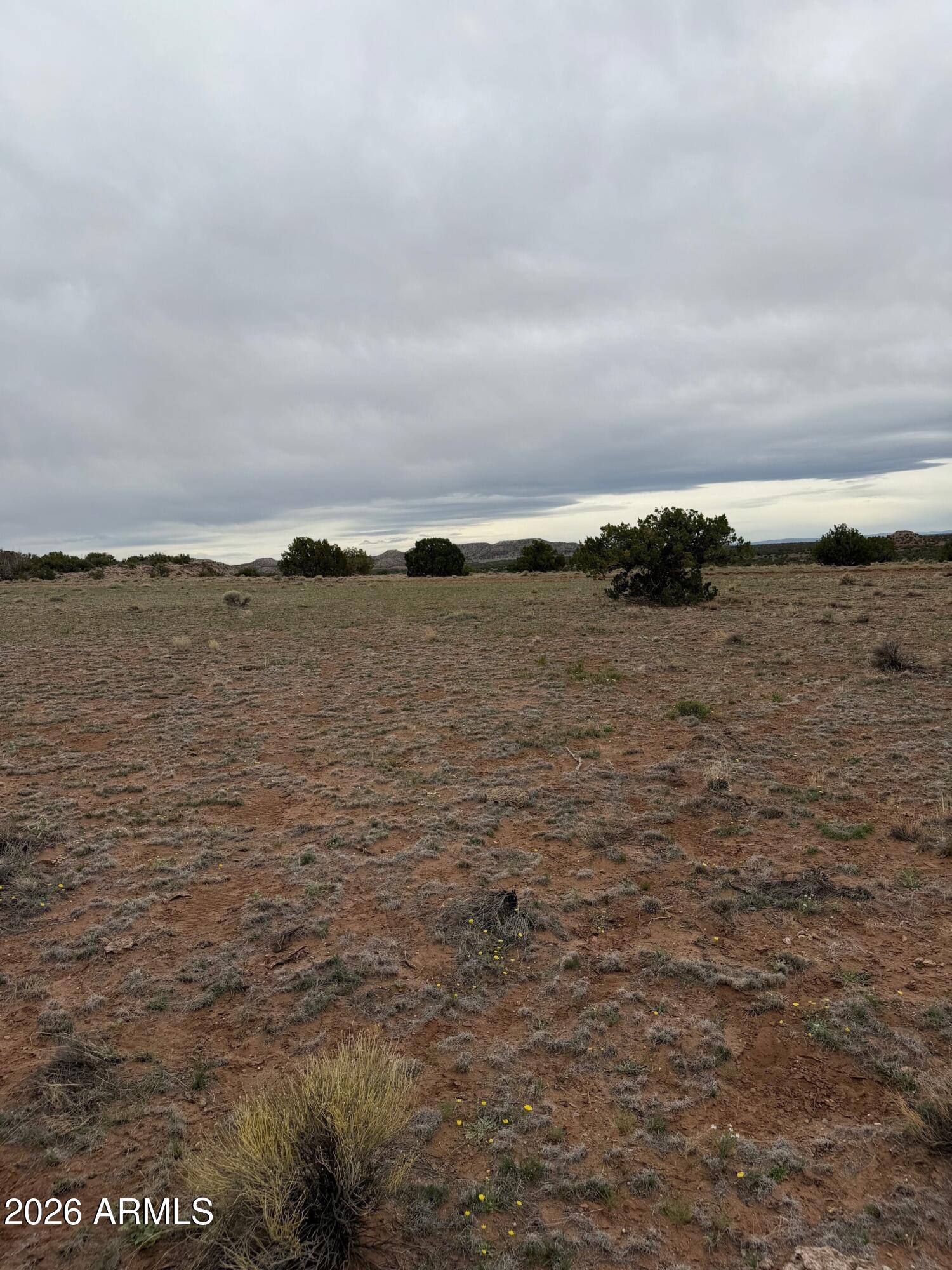 Cedar Ridge Estates - Land