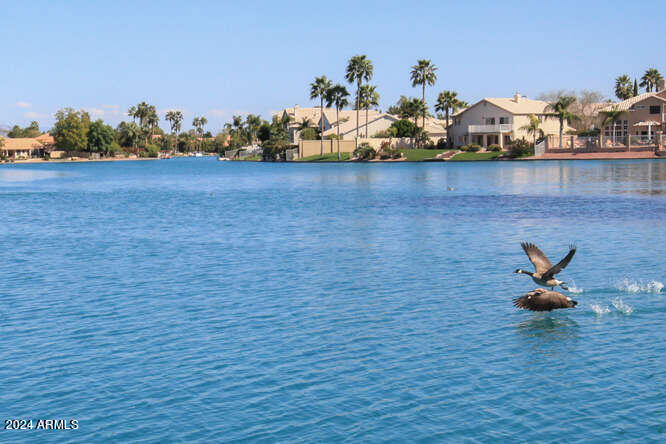 TOWNHOMES ON CORAL REEF - Residential