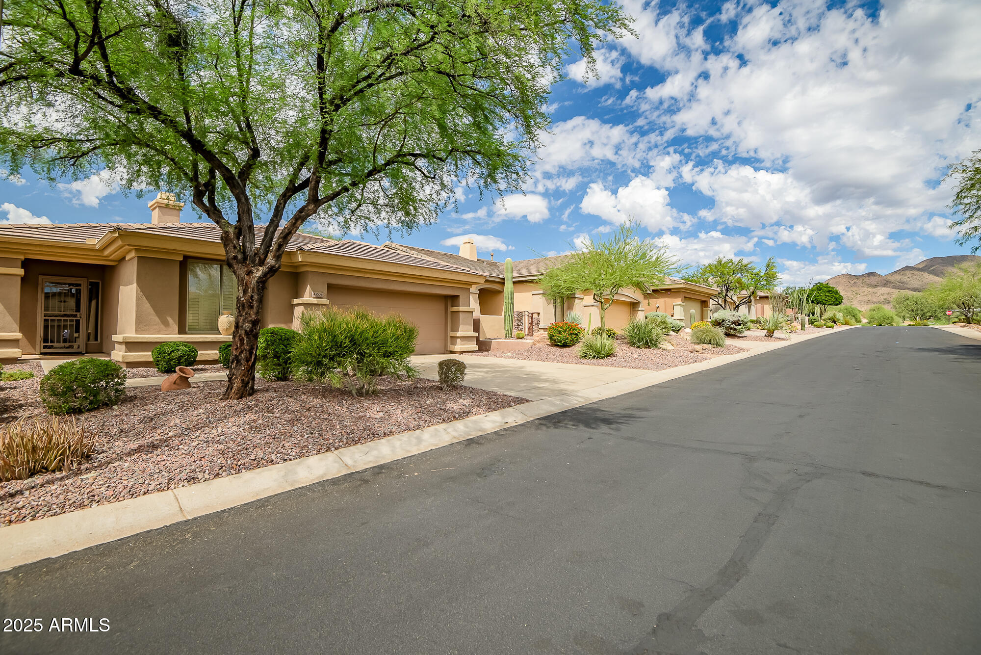 Welcome to 41604 N Cedar Chase Rd in Anthem Country Club.   This golf course lot sits on the tee box of the 3rd hole at the Persimmon golf course, has views of sunsets to the west & to Daisy Mountain out front.  Owner has added various upgrades over the years including blinds, wood floors, cabinets & epoxy flooring in garage, gutters, new irrigation valve/timer, 300 Sq Ft addition overlooking golf course & granite counter tops.  This 2 bedroom, 2 bathroom home has a spacious layout & the addition provides room for an office, exercise area, game room and entertaining.  Come discover Anthem Country Club where you can experience 2 golf courses, 2 clubhouses, restaurants, tennis, pickleball, walking paths, bocce ball & more!