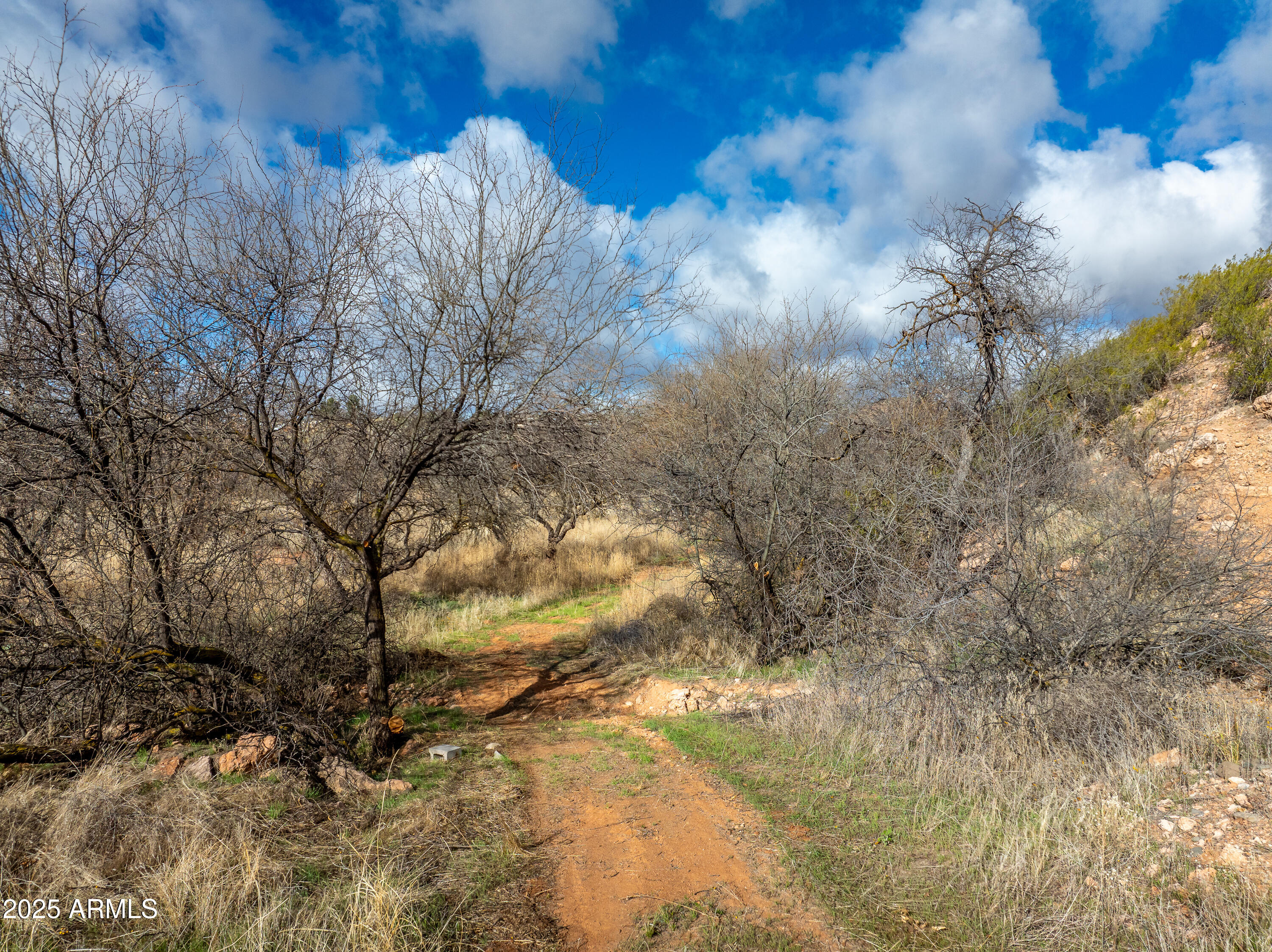 Under 5 Acres - Land