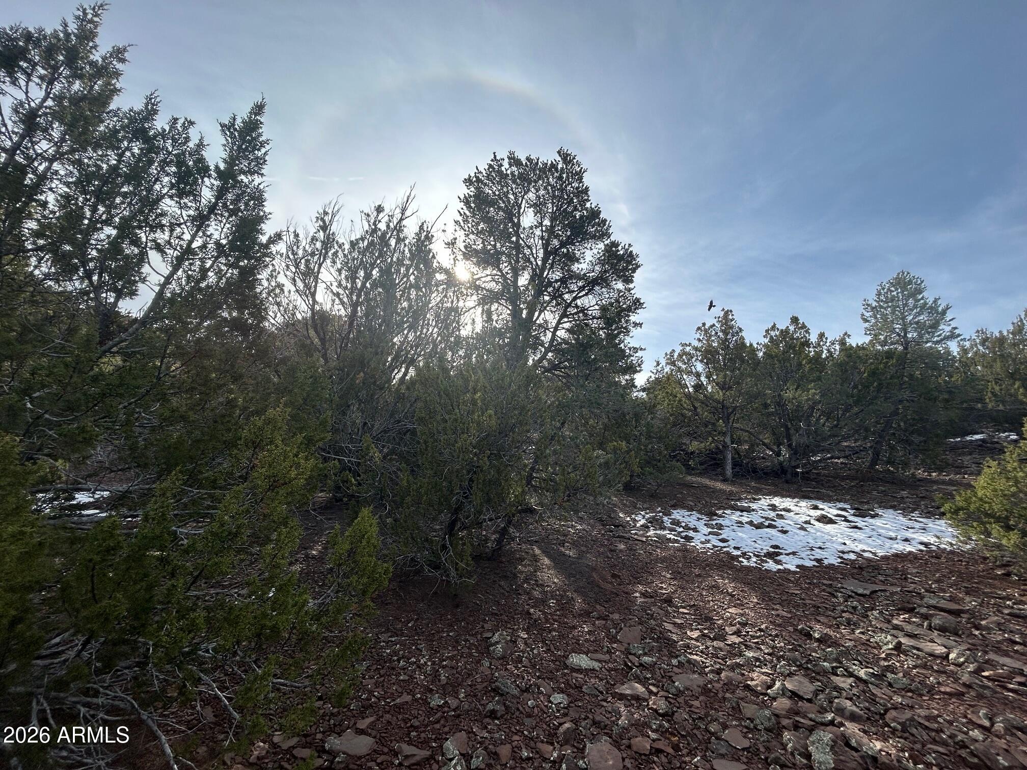 MOUNTAIN PINE RANCH UNIT 2 - Land