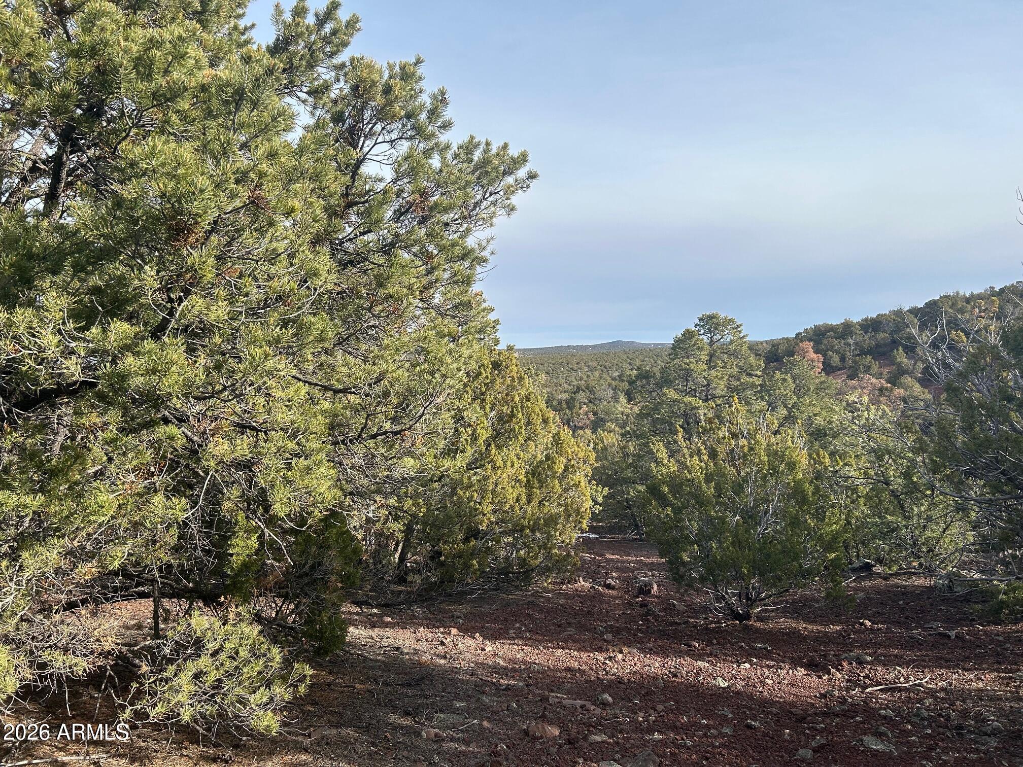 MOUNTAIN PINE RANCH UNIT 2 - Land