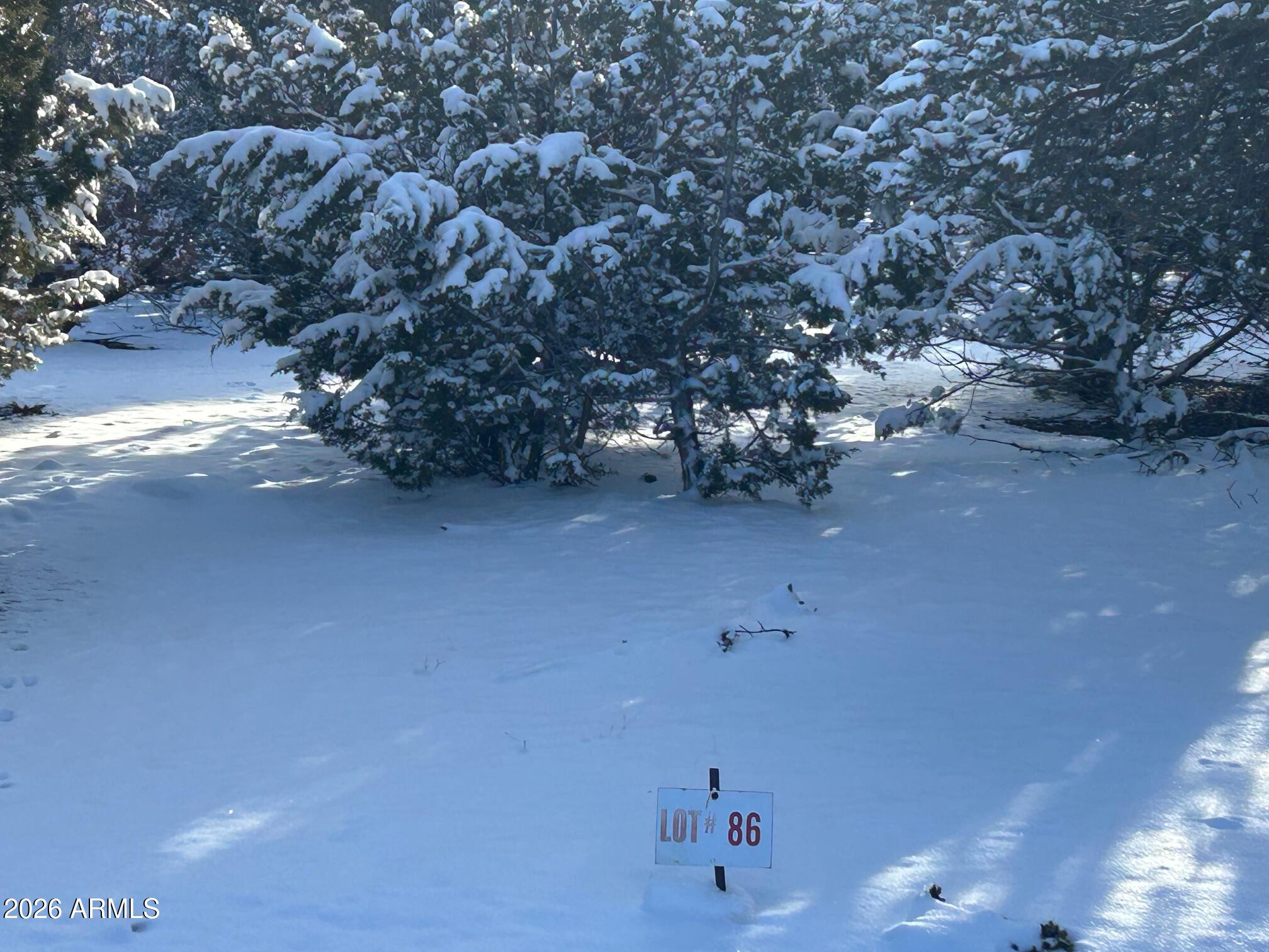 MOUNTAIN PINE RANCH UNIT 2 - Land