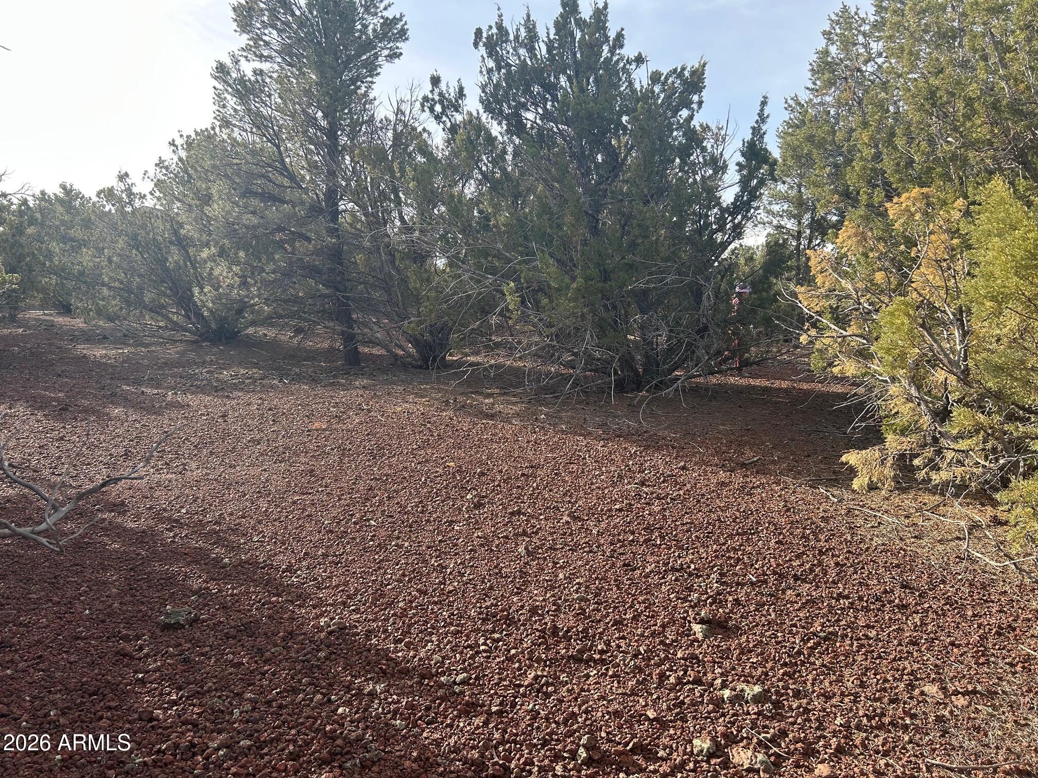 MOUNTAIN PINE RANCH UNIT 2 - Land