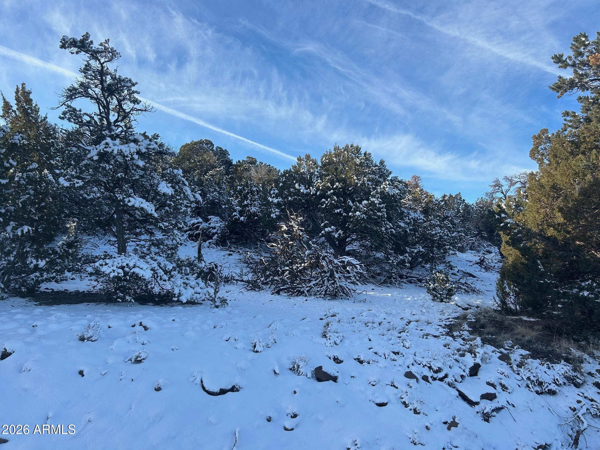 MOUNTAIN PINE RANCH UNIT 2 - Land