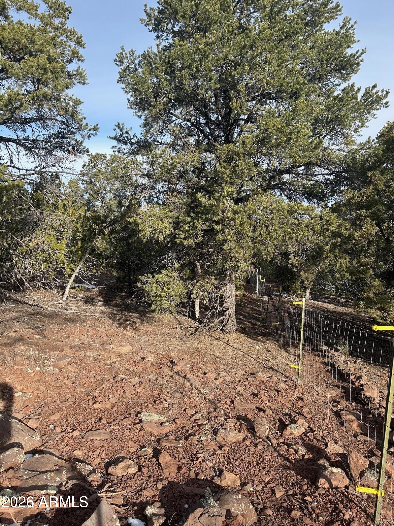 MOUNTAIN PINE RANCH UNIT 2 - Land
