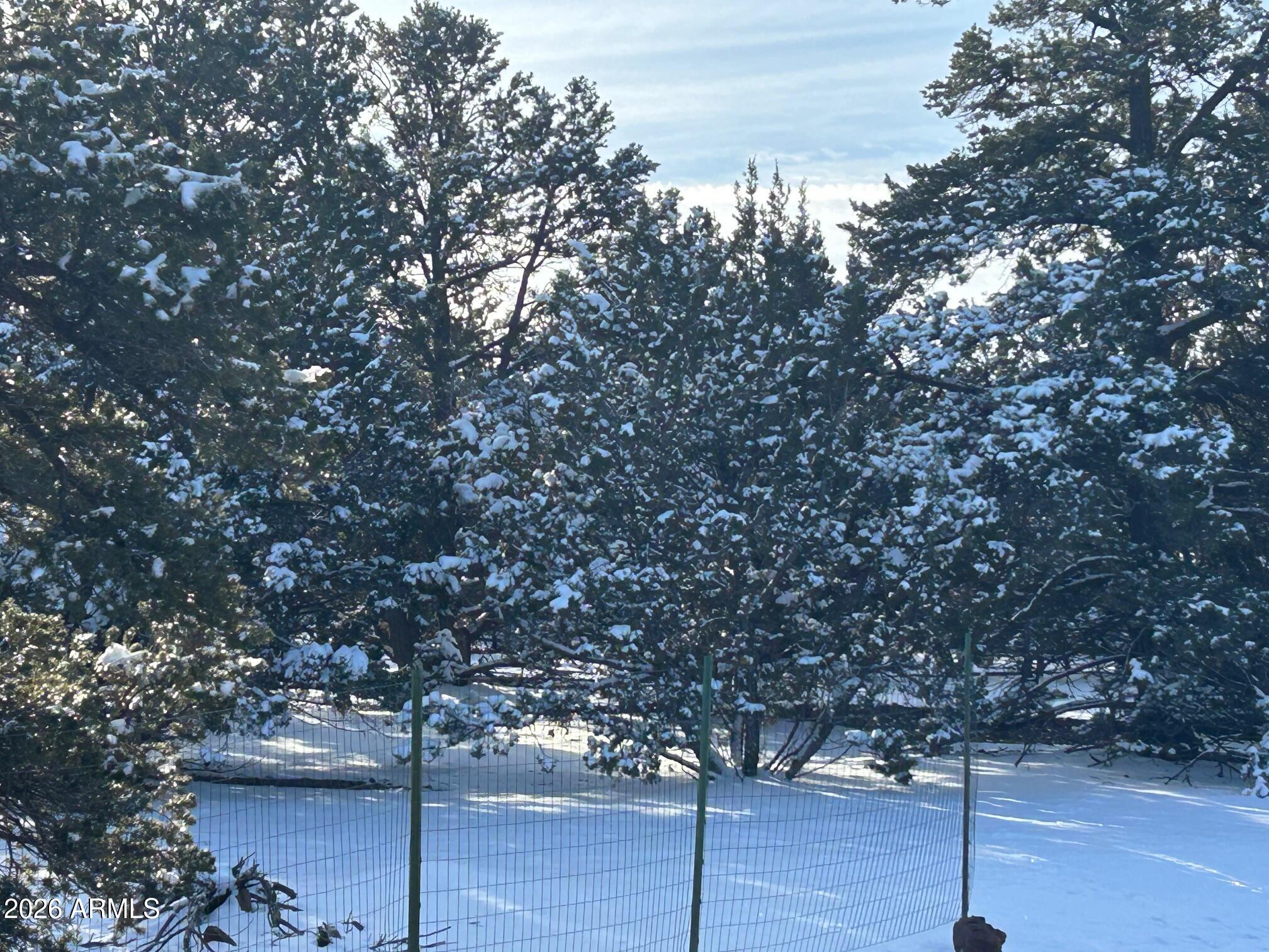 MOUNTAIN PINE RANCH UNIT 2 - Land