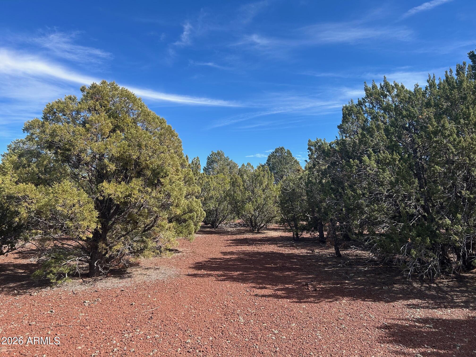 MOUNTAIN PINE RANCH UNIT 2 - Land