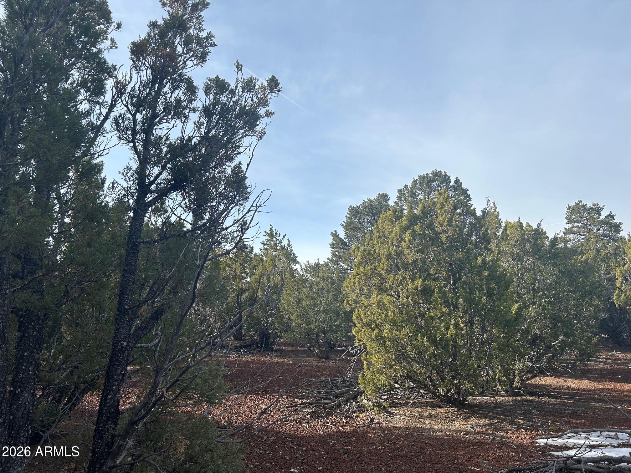 MOUNTAIN PINE RANCH UNIT 2 - Land