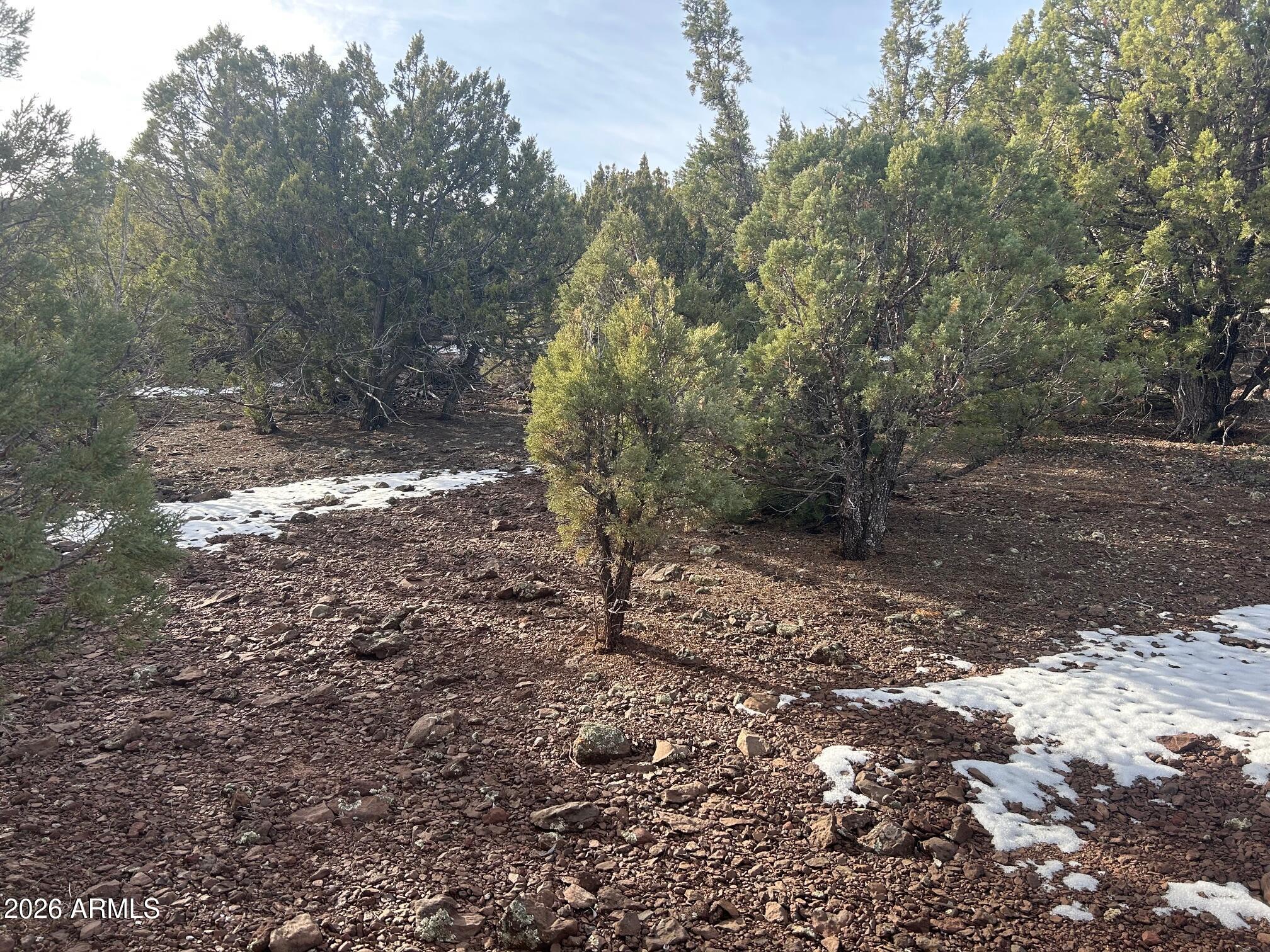 MOUNTAIN PINE RANCH UNIT 2 - Land