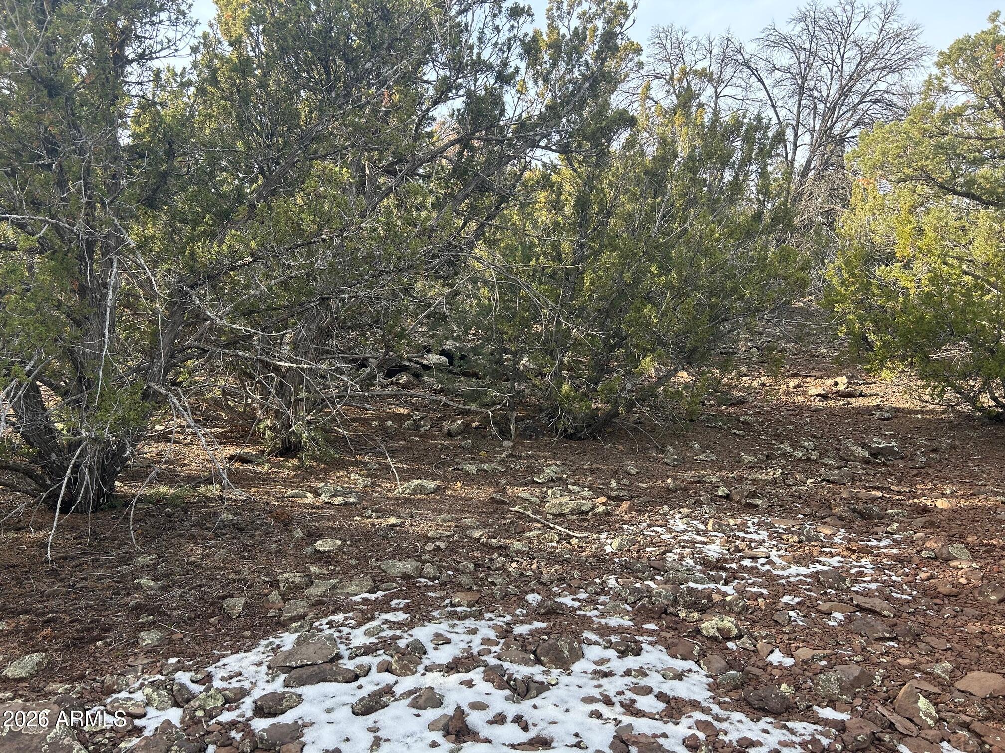 MOUNTAIN PINE RANCH UNIT 2 - Land