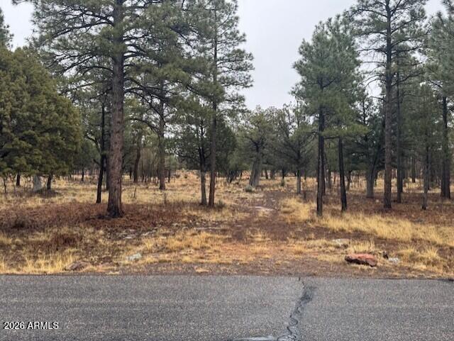 Build your mountain dream home in the tall pines of Happy Jack! This beautiful homesite in the desirable Starlight Pines development offers cool summer temperatures, privacy, and plenty of usable space. The lot is level, firewise and nicely treed, making it ideal for a custom cabin or year-round mountain residence.

With horse privileges, there's room to create your own equestrian retreat and enjoy nearby forest trails. Utilities are available (buyer to verify), and well-maintained roads provide easy access while still preserving the peaceful mountain setting.

Whether you're seeking a quiet getaway or a full-time home surrounded by nature, this property delivers the best of Arizona mountain living.